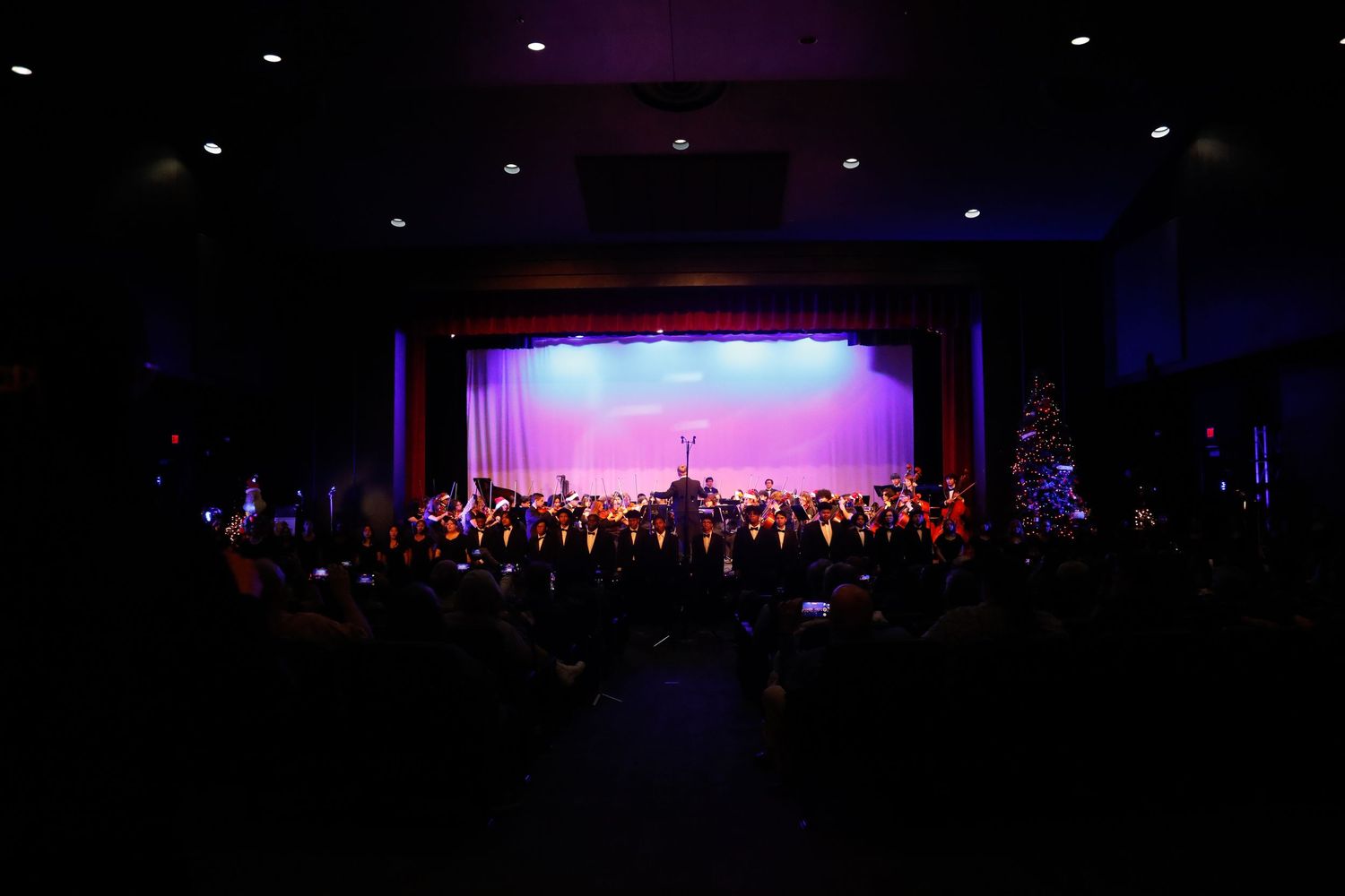 Wide shot of orchestra performing on illuminated stage with purple backdrop.