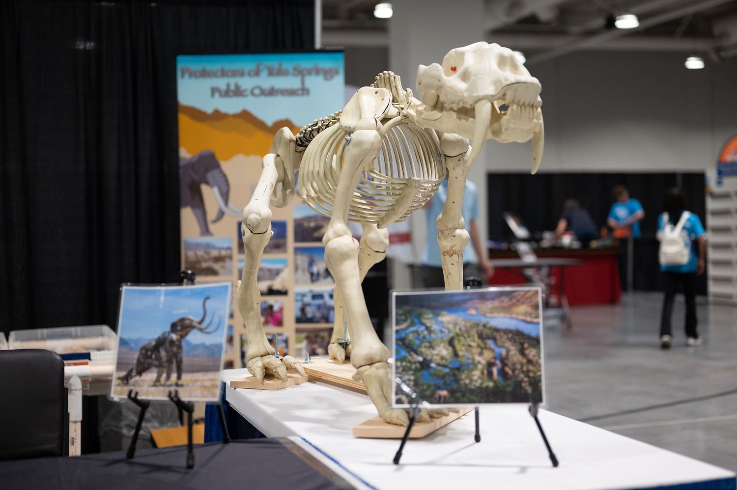 Dinosaur skeleton display with educational materials at museum or exhibition.