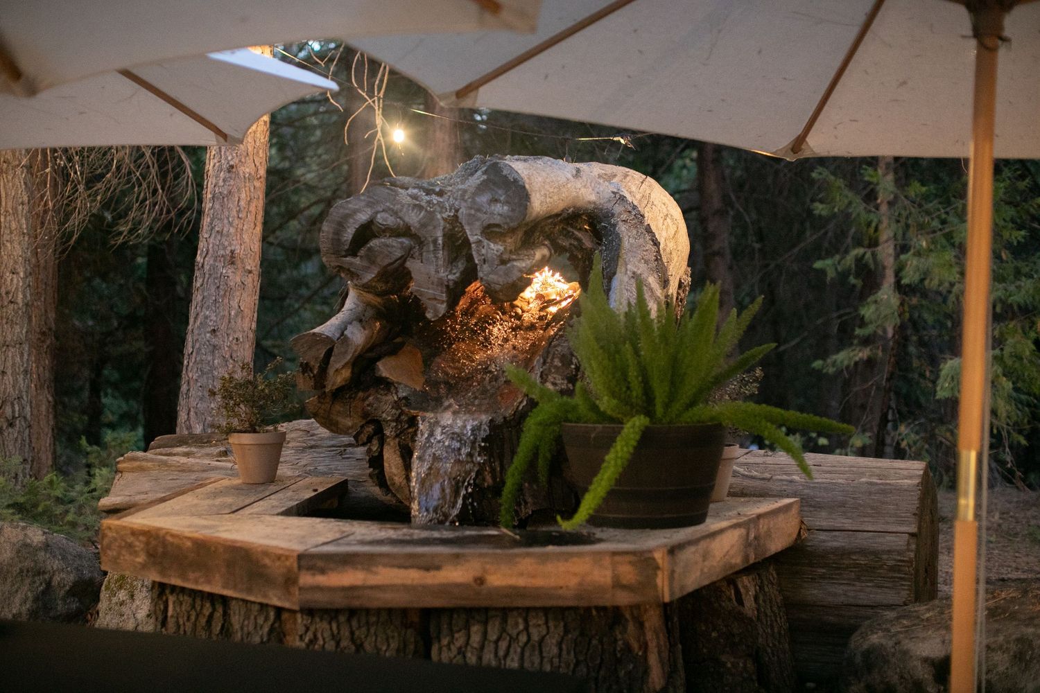Rustic wooden table display with decorative skull and glowing light fixture in an outdoor garden setting.