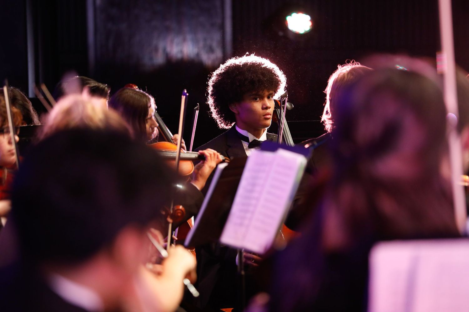 Orchestra musicians performing with sheet music under dramatic stage lighting.