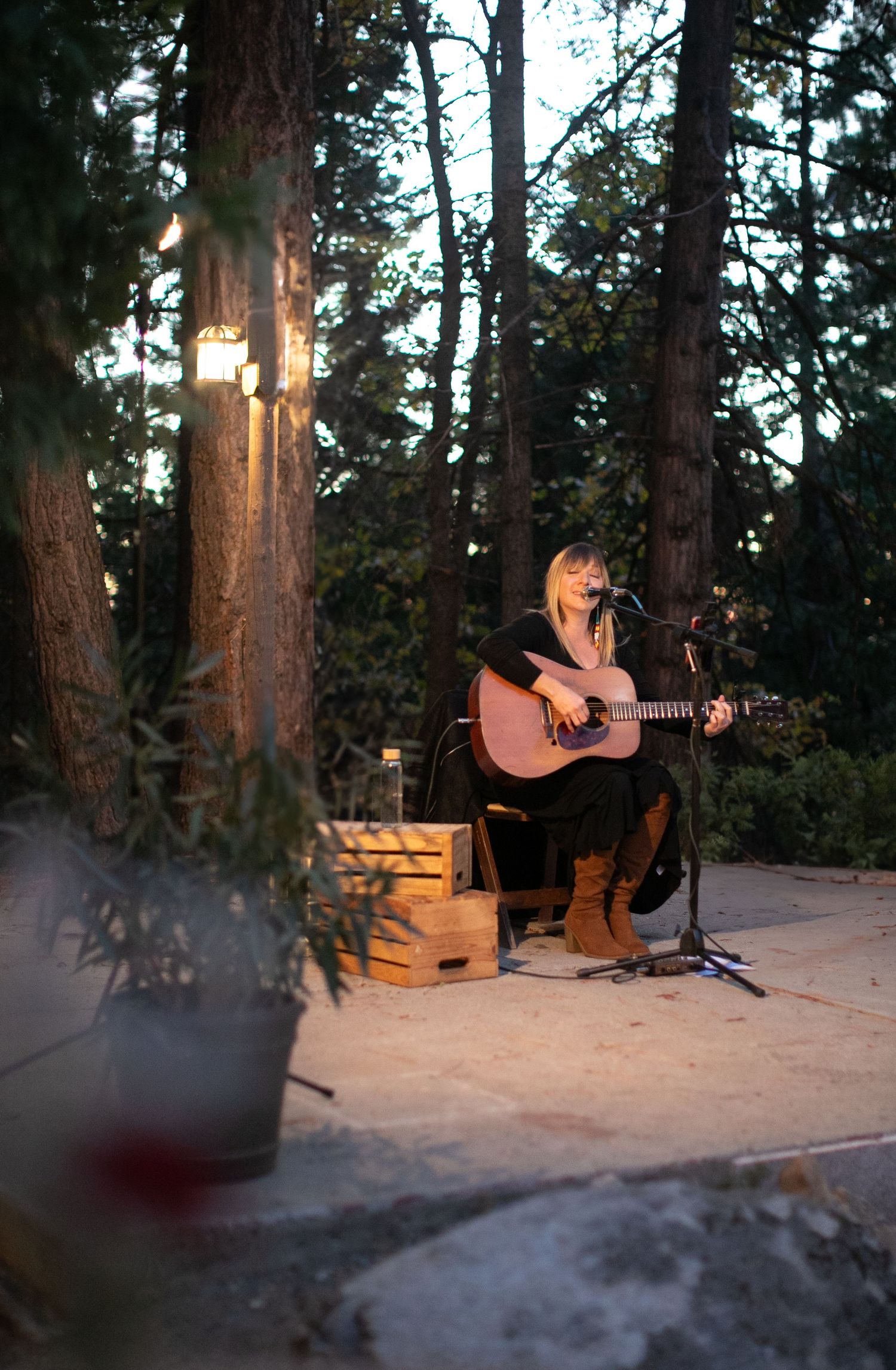 Live acoustic performance in a forest setting with outdoor lighting and natural ambiance.