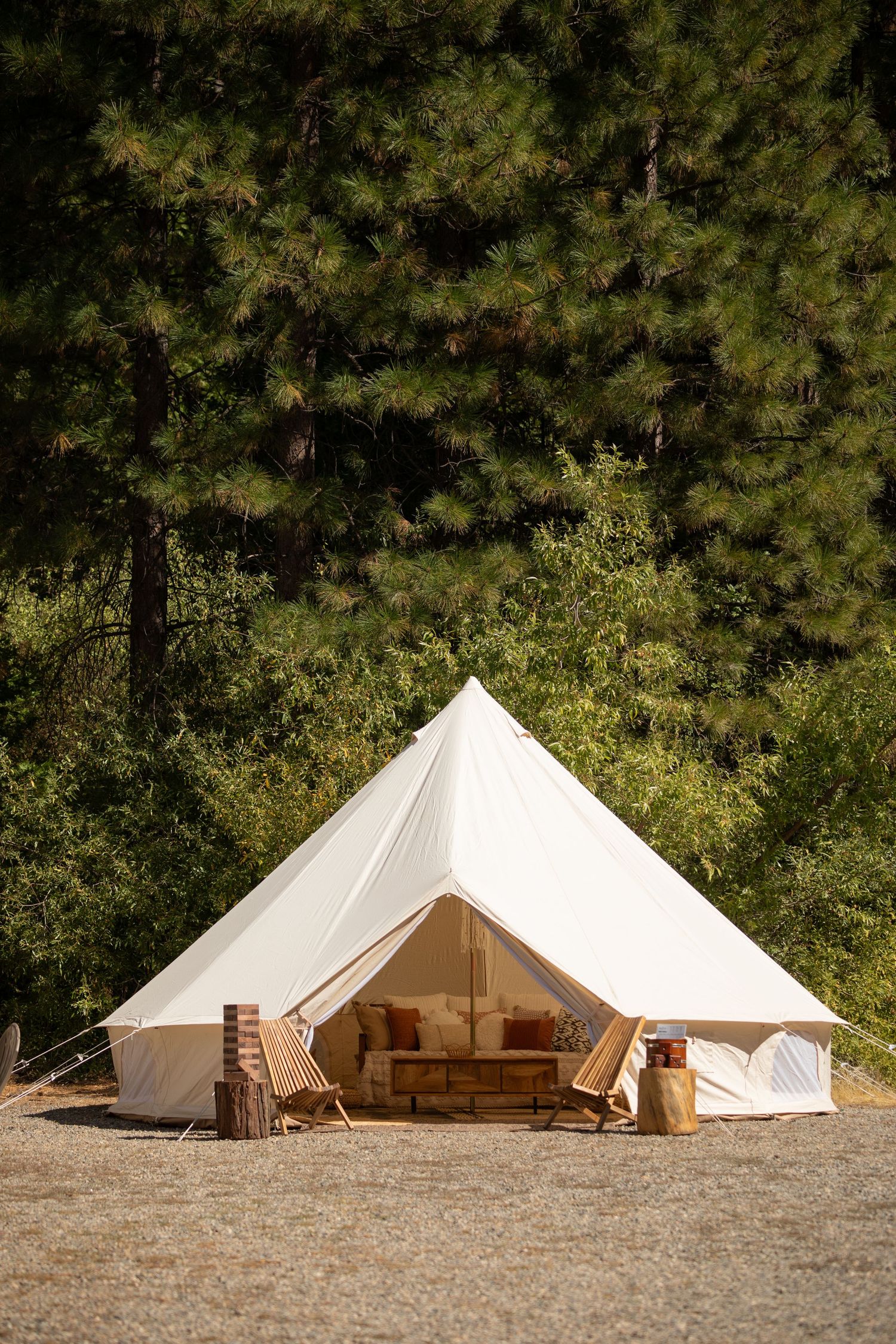 Large white bell tent with comfortable furnishings set against a backdrop of pine trees.