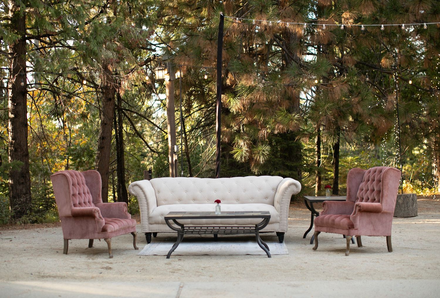 Outdoor wedding venue setup with pink chairs and benches arranged in rows among pine trees.