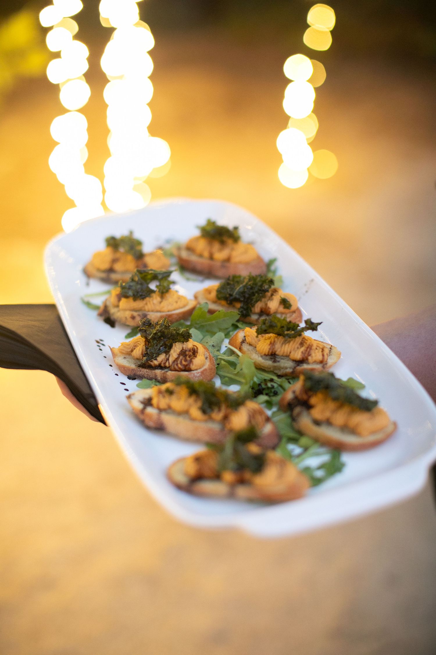 Elegant appetizers arranged on a white platter with garnish and bokeh lighting in background.