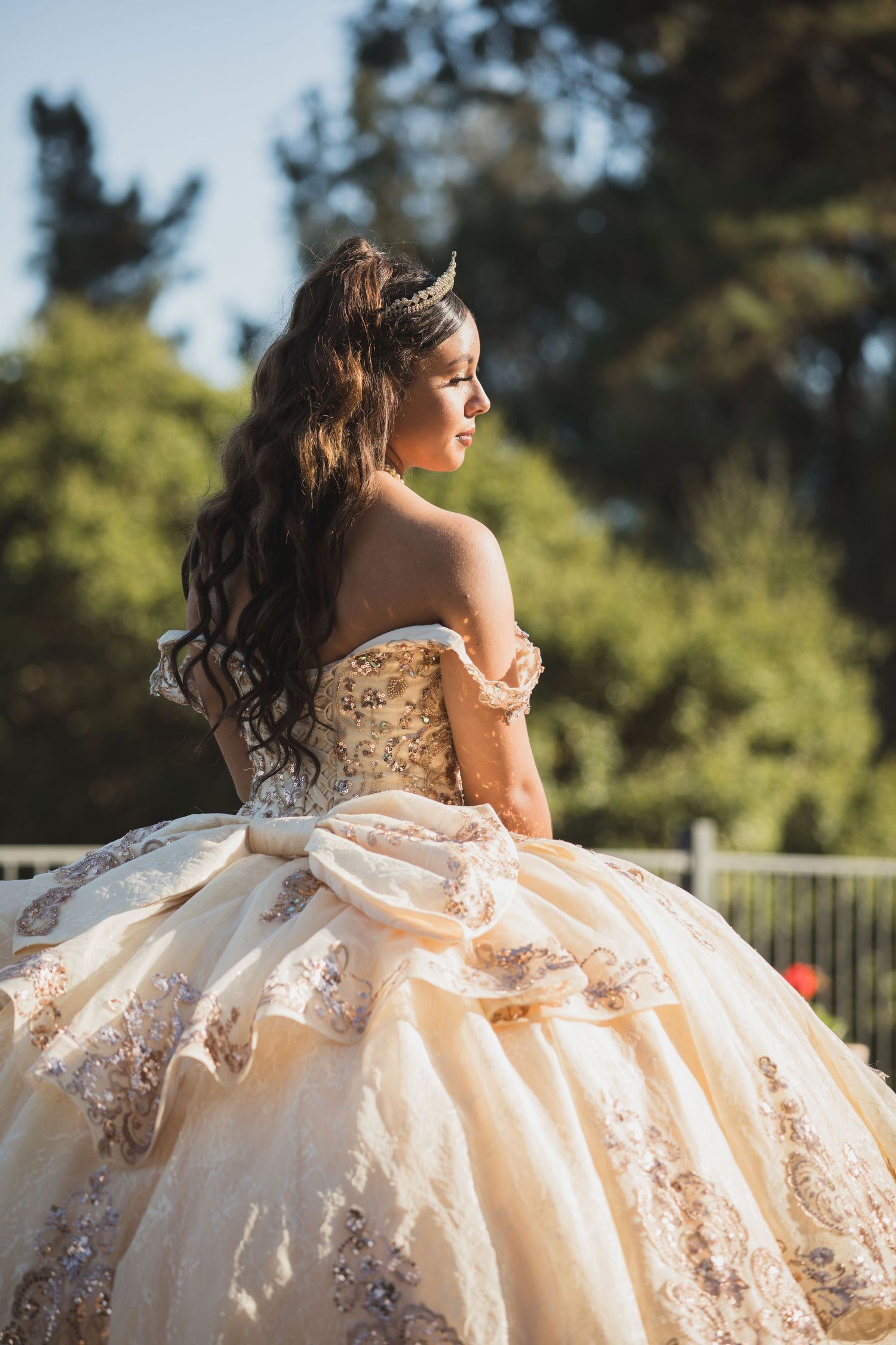 A decorative ballgown with gold embellishments photographed from behind in an outdoor setting.