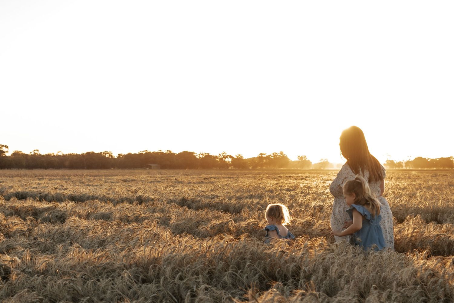 candid family walking into sunset in the wheat crop