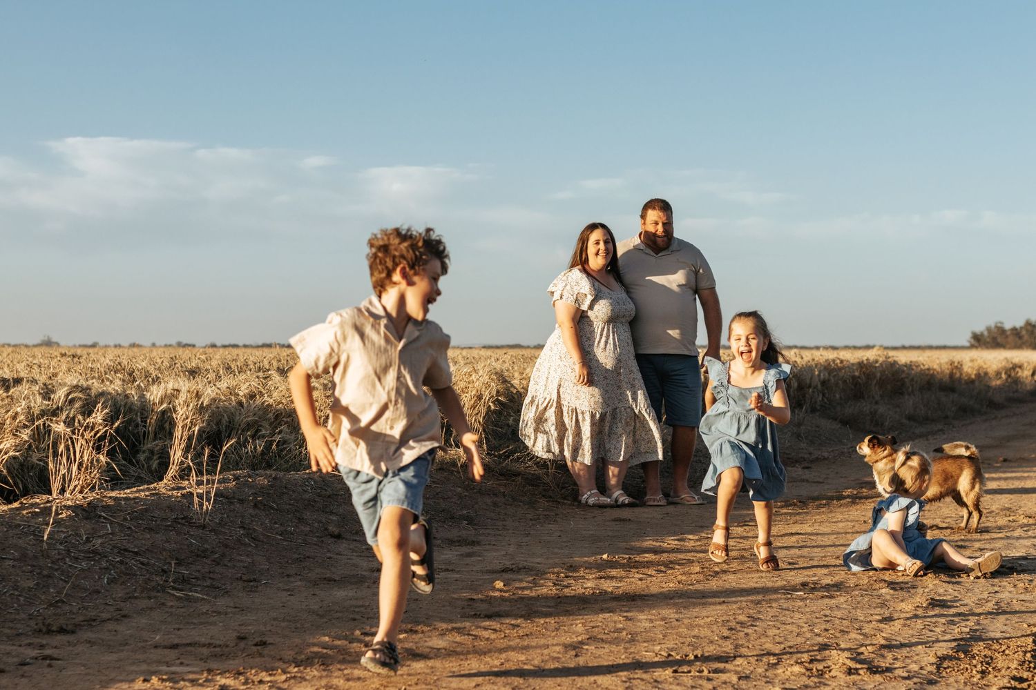 Family photo, sunset, farm session, country