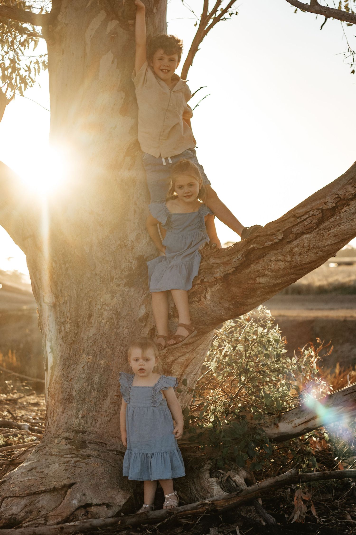 Family photo, sunset, farm session, country