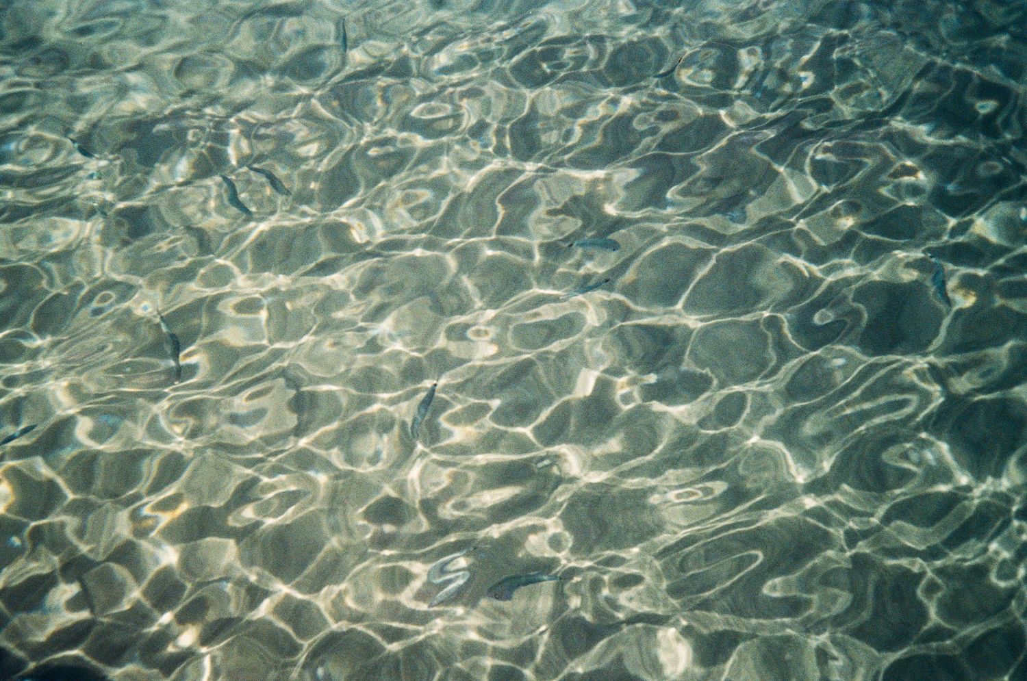 Crystal clear rippling water surface creates mesmerizing patterns of light and shadow in turquoise blue tones.