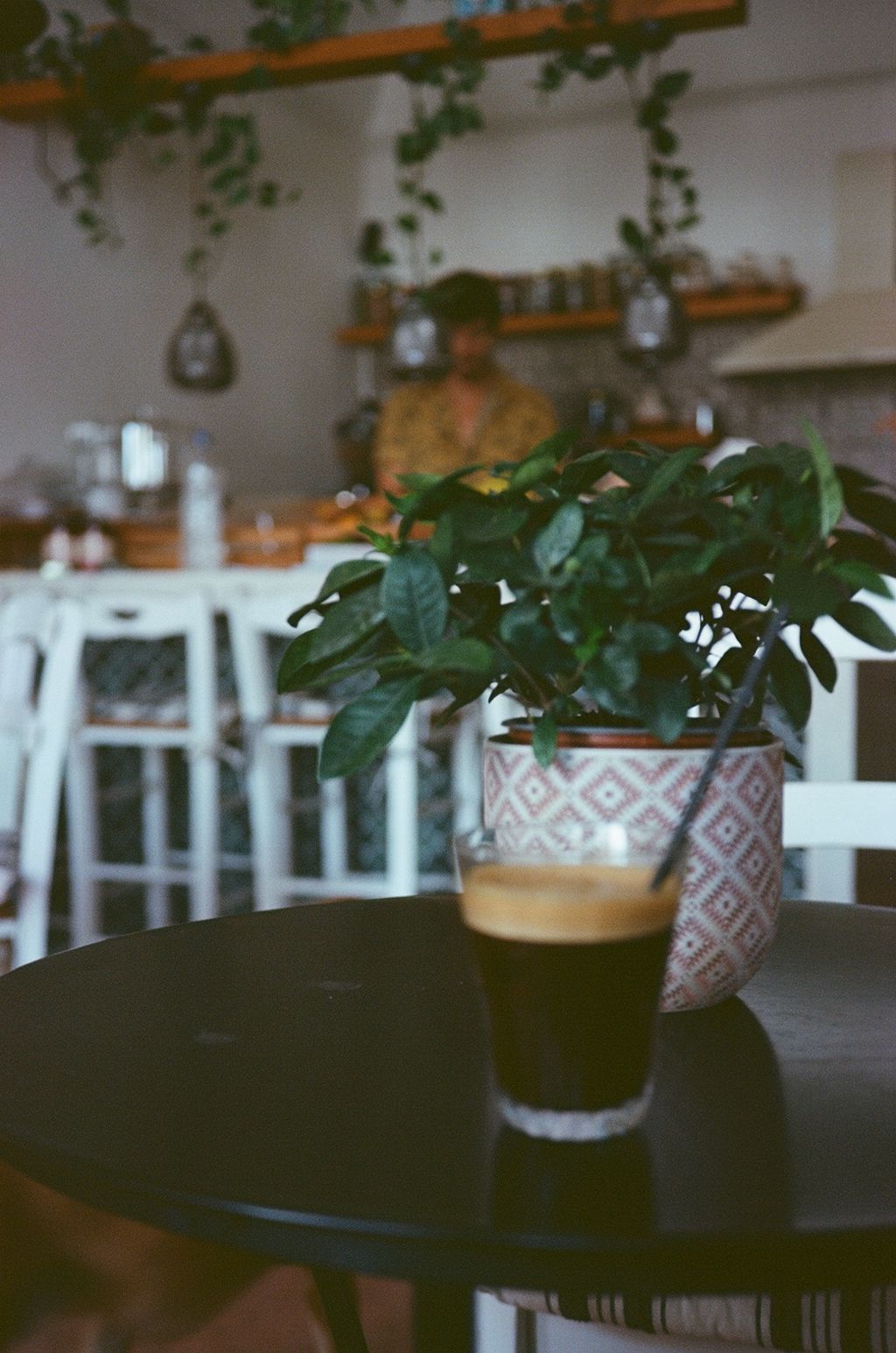 A row of potted plants on a wooden shelf with natural lighting and white walls in a cozy interior setting.