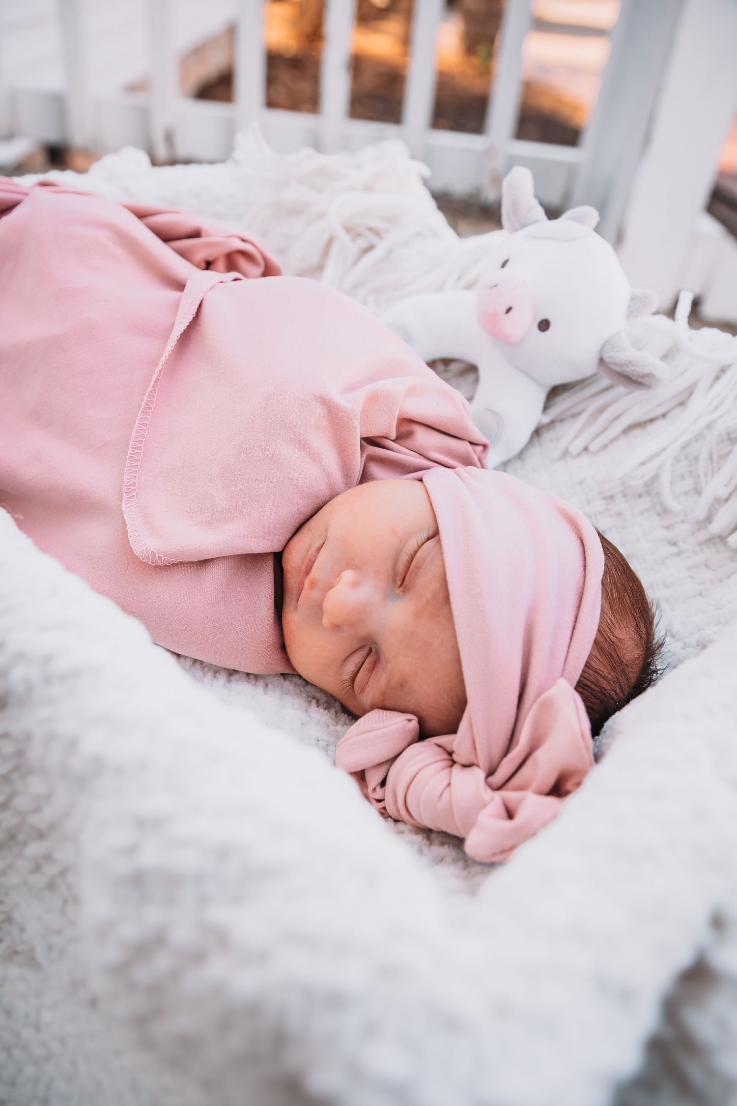 Newborn girl photos Topeka KS Ward Meade Park, Old Prairie Town