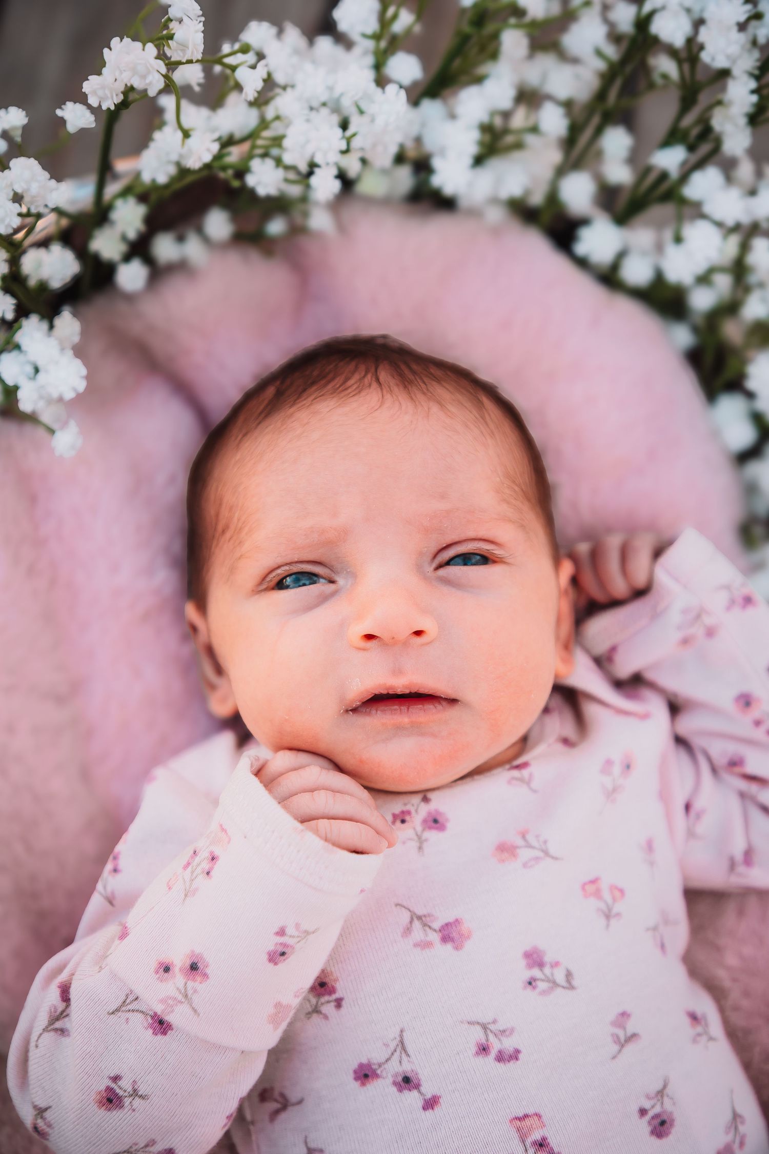 Newborn girl photos Topeka KS Ward Meade Park, Old Prairie Town