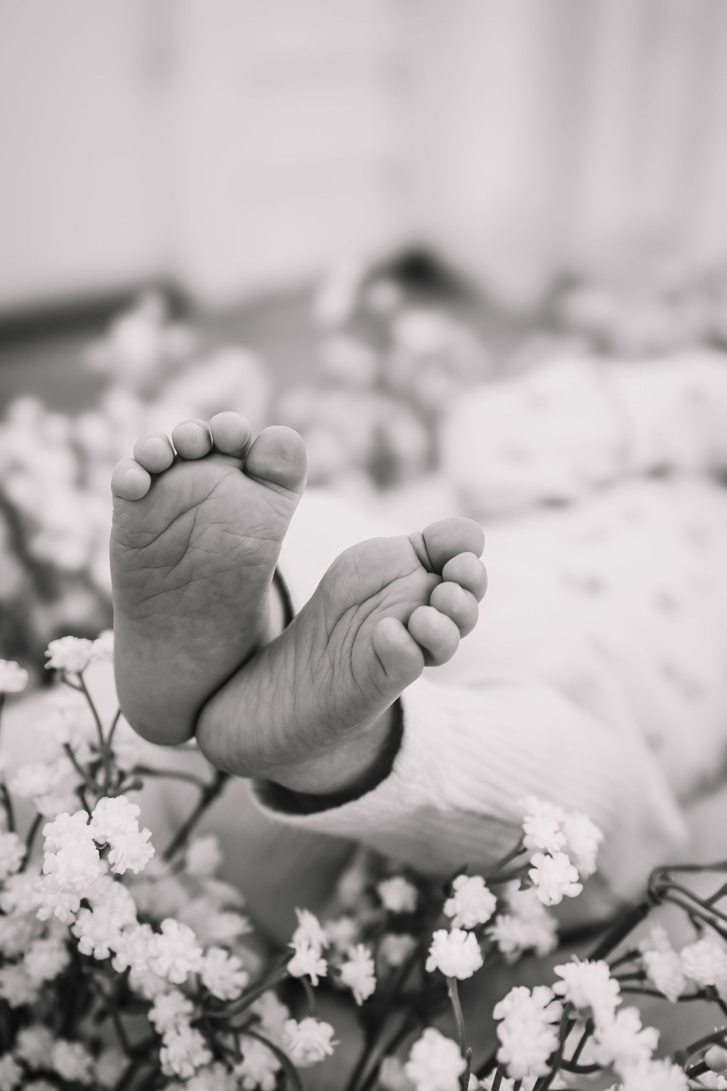Newborn girl photos Topeka KS Ward Meade Park, Old Prairie Town