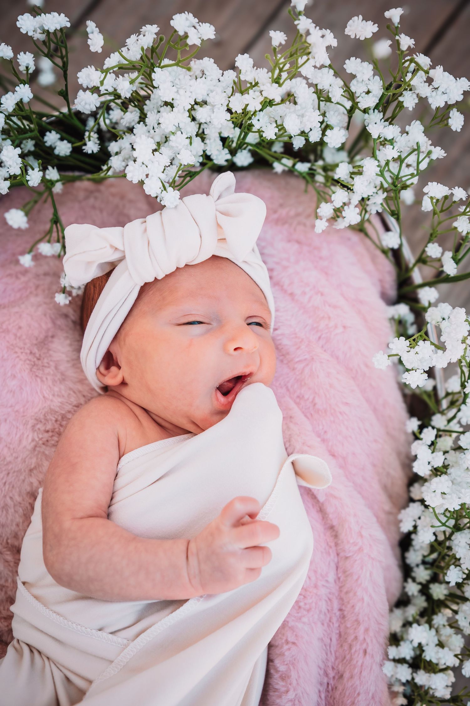 Newborn girl photos Topeka KS Ward Meade Park, Old Prairie Town