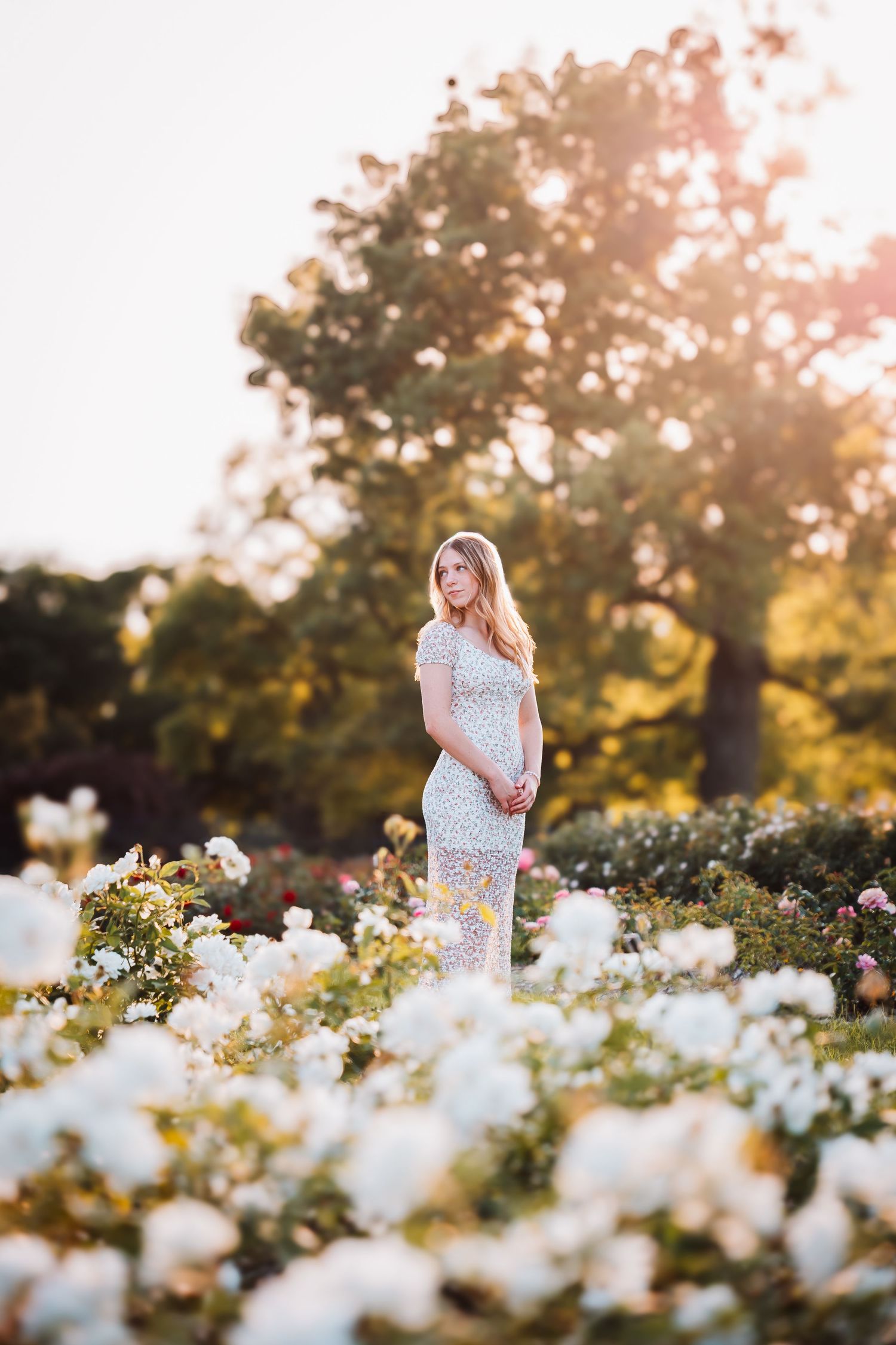 Senior Photo Reinisch Rose Garden Topeka, KS Abeni Rene Photography