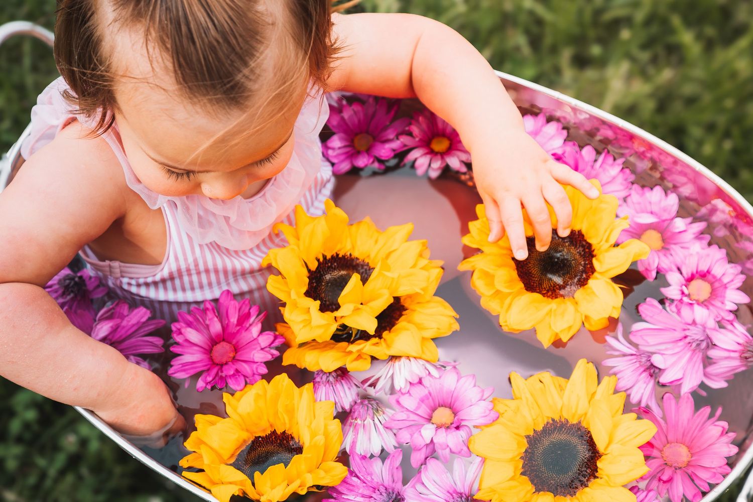 Toddler Bath Flowers Topeka KS Abeni Rene Photography Ward Meade Park