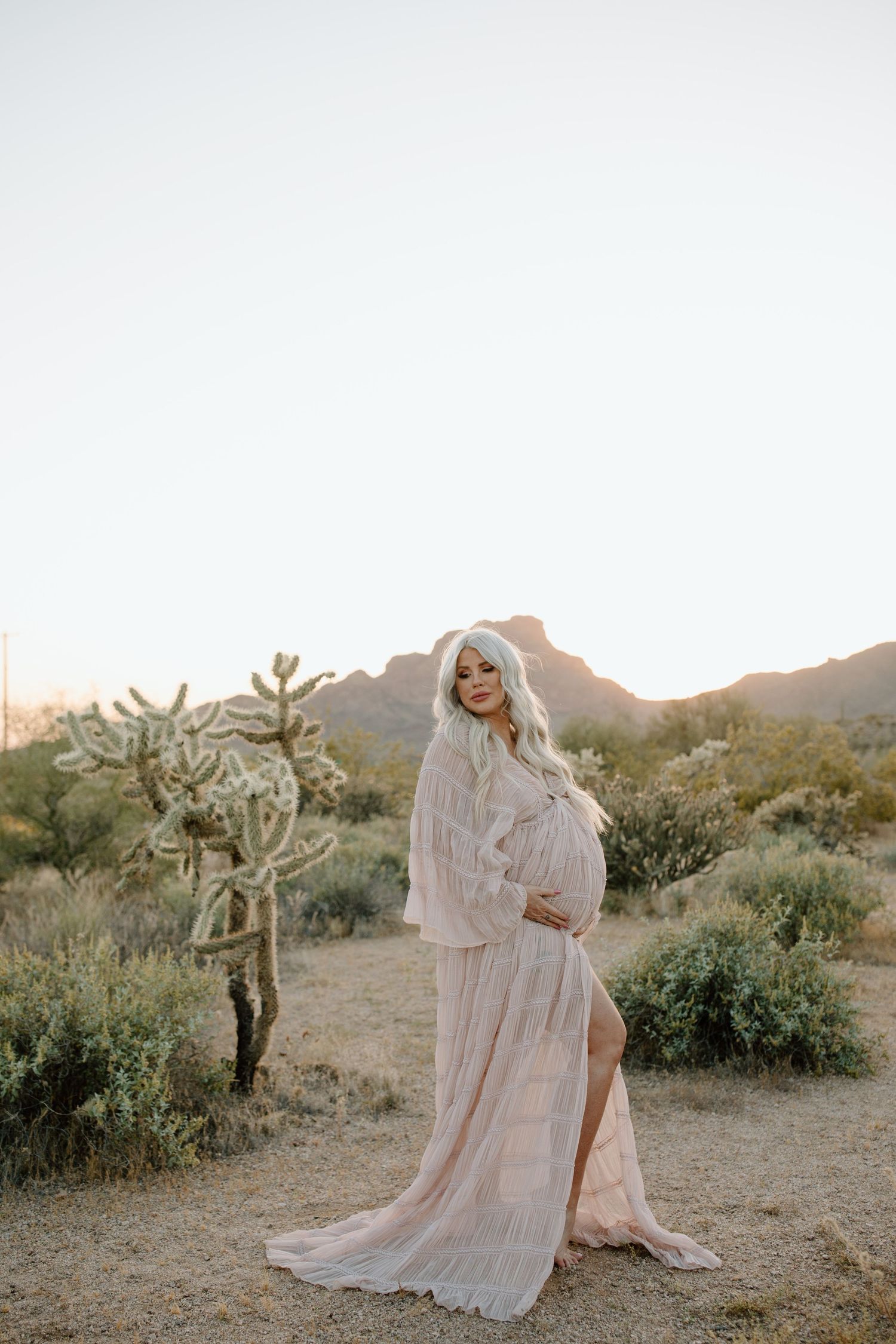 solo maternity photo, wide shot, long elegant maternity gown, baby bump