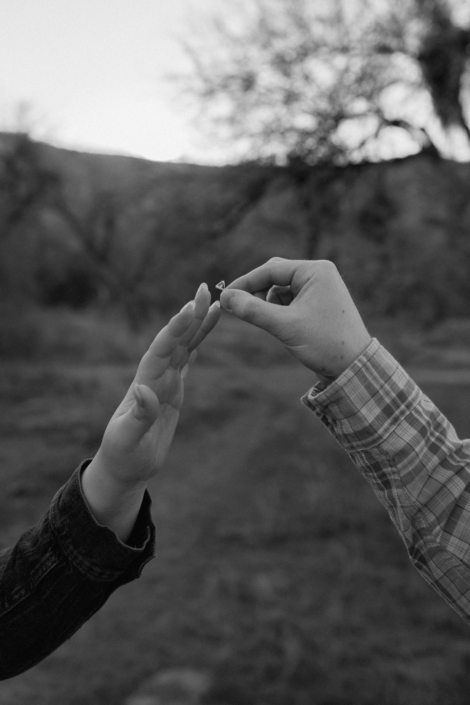 engagement photos black and white art