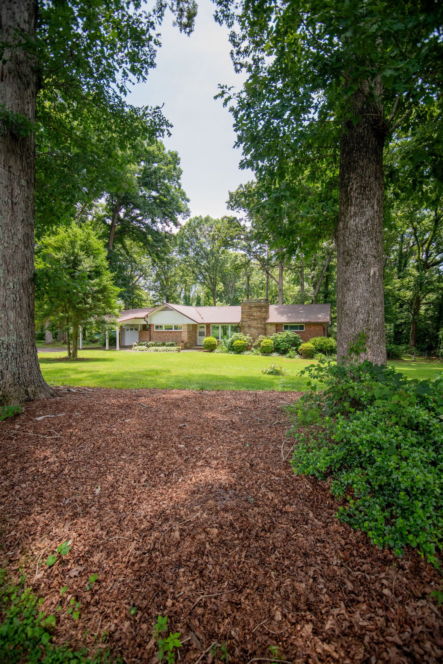 Landscaped backyard with mature trees and mulched garden beds.