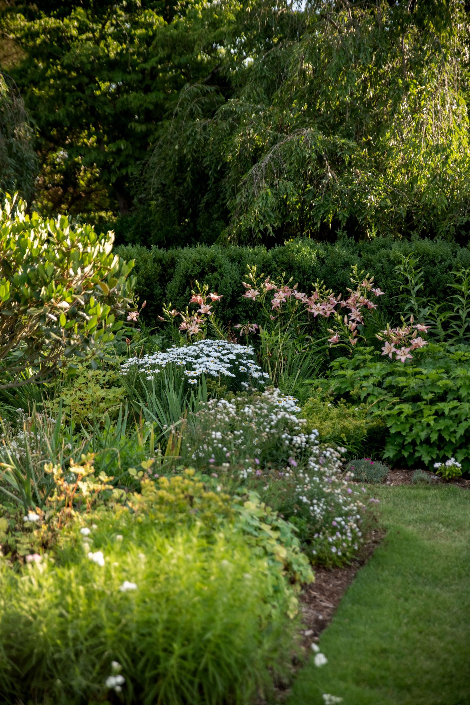 Lush garden border with pink lilies, white flowers, and layered greenery in soft evening light.