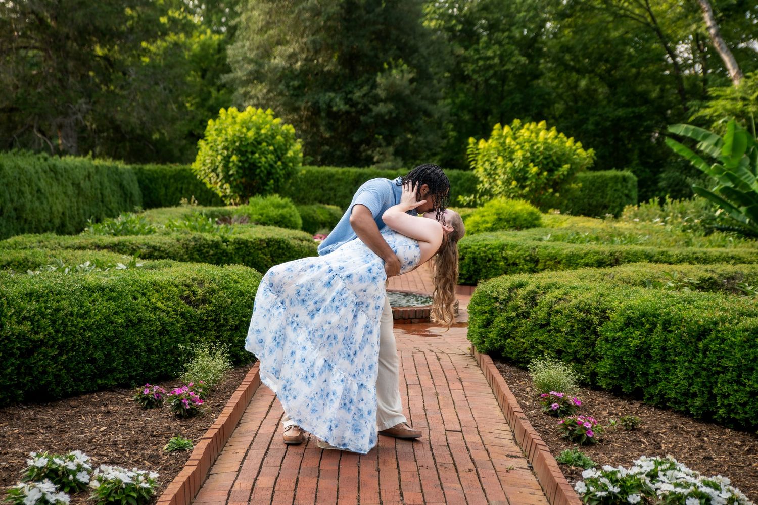 Couple sharing a romantic dip kiss on a brick path surrounded by lush green hedges in a formal garden.