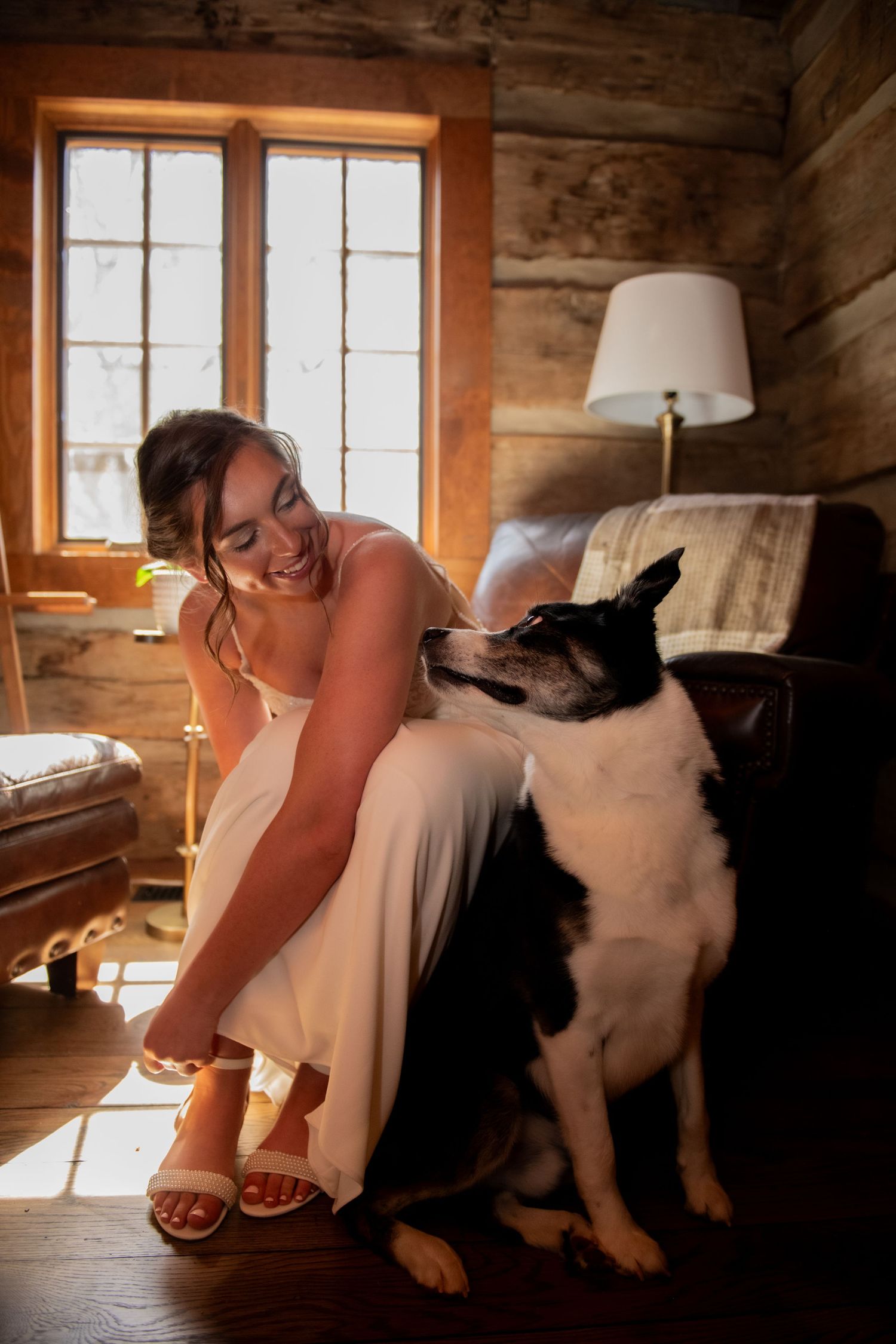 Bride in white dress smiling at black and white dog in rustic log cabin interior with warm sunlight.