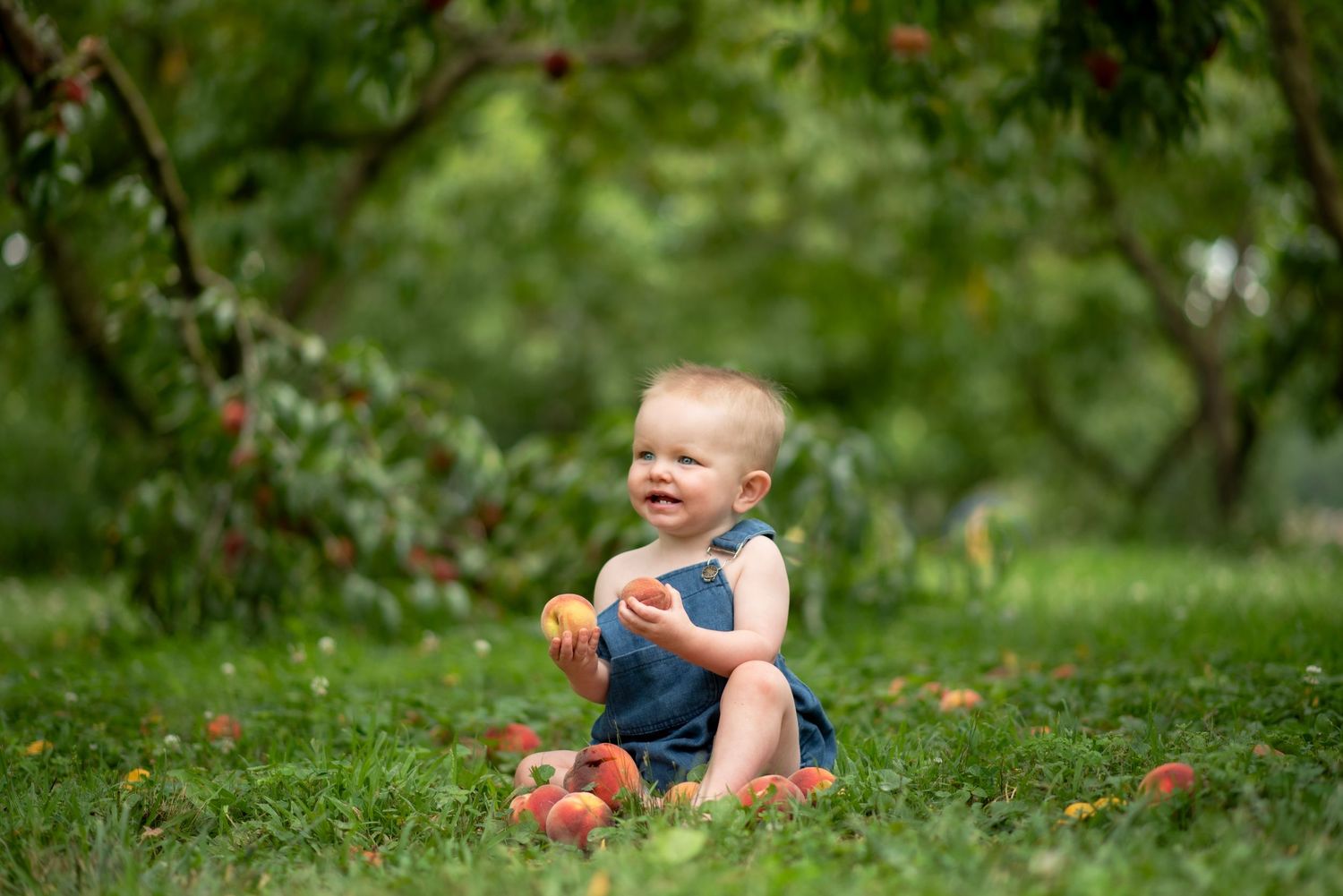 A happy baby sits on green grass in an orchard, holding a fresh peach surrounded by fallen fruit.