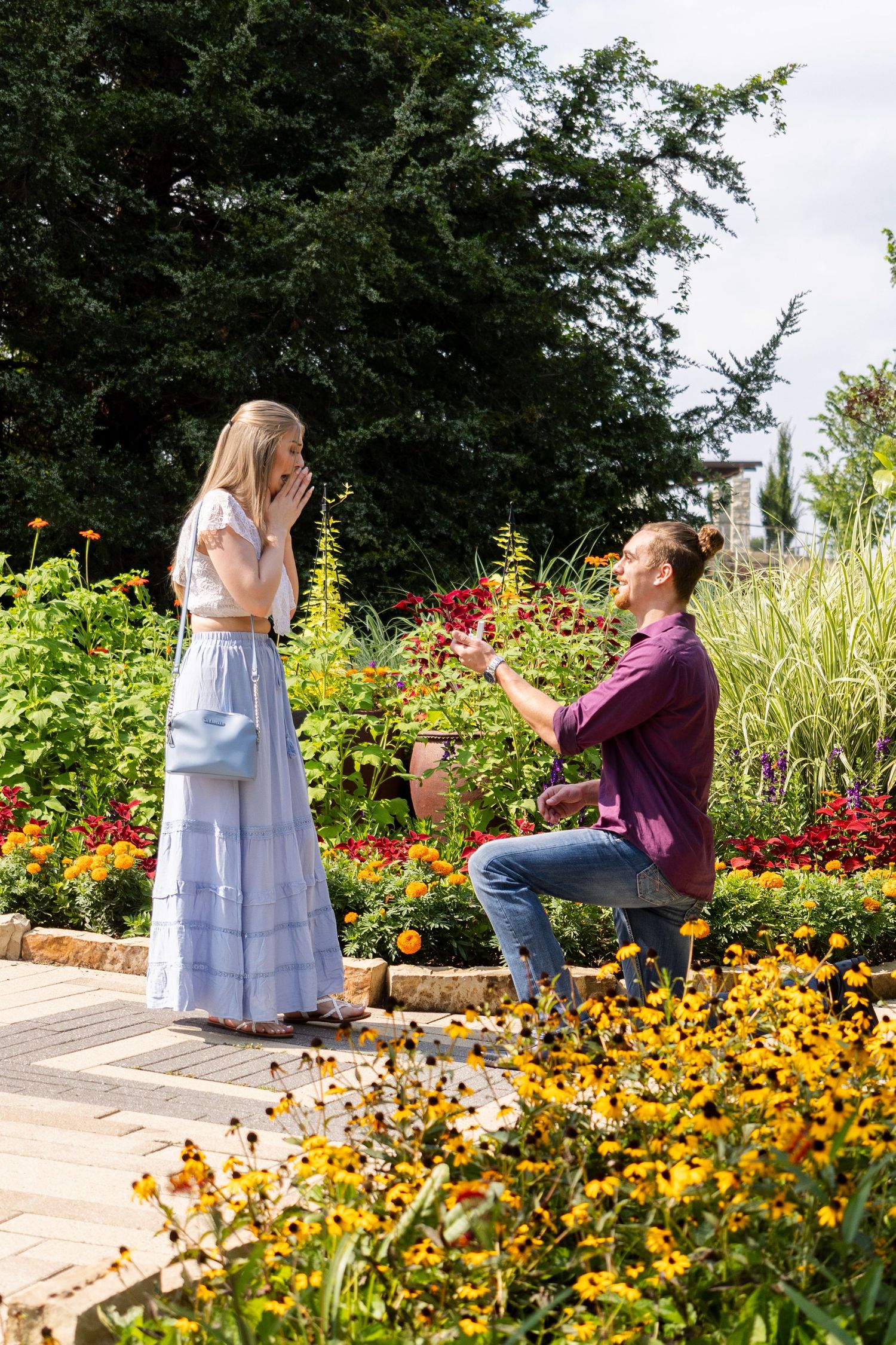 A romantic proposal moment unfolds in a vibrant garden filled with yellow and orange flowers on a sunny day.