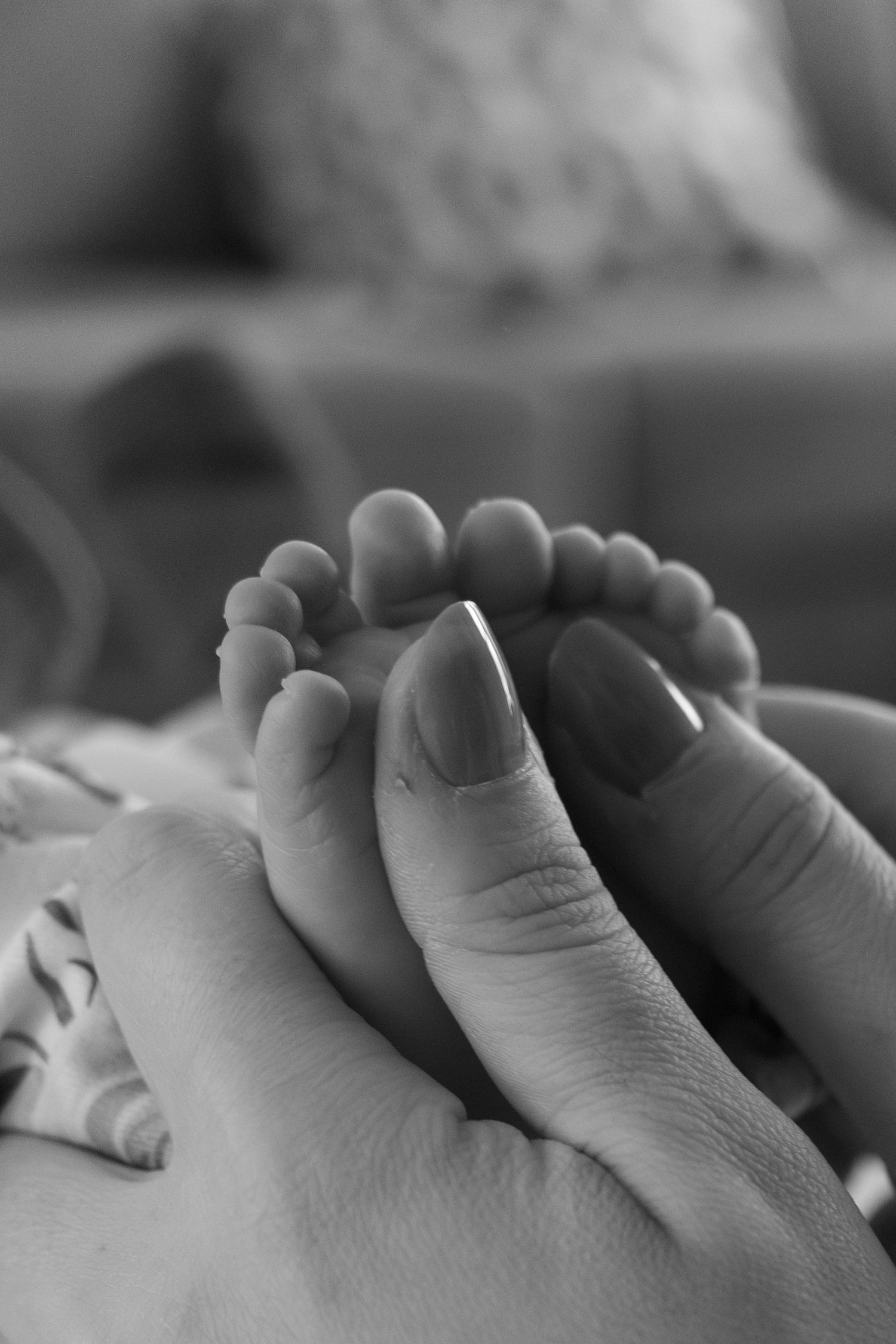 Black and white macro shot of small baby toes being gently held by adult fingers.