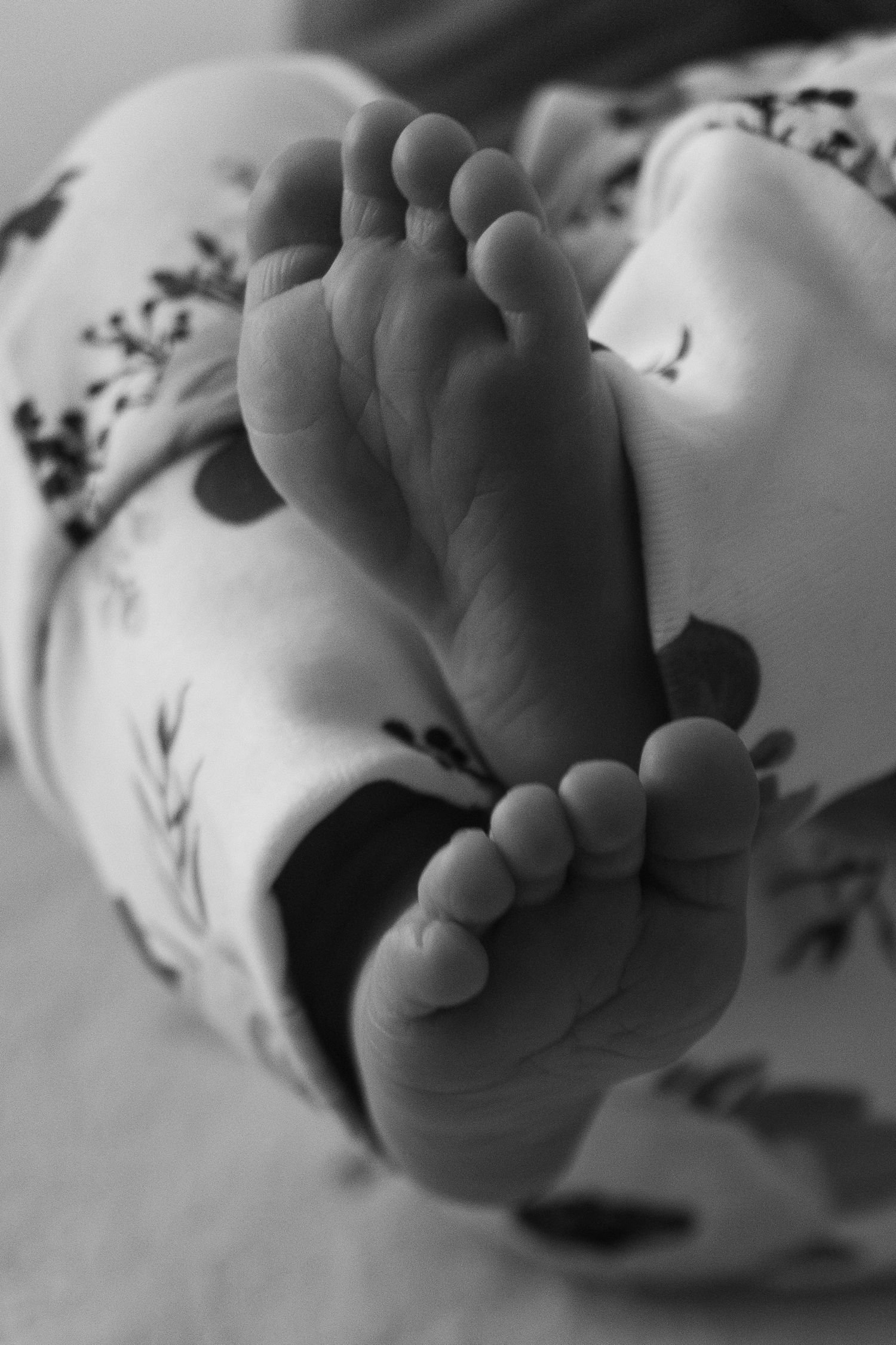 Close-up black and white photo of tiny baby feet against a floral patterned background.
