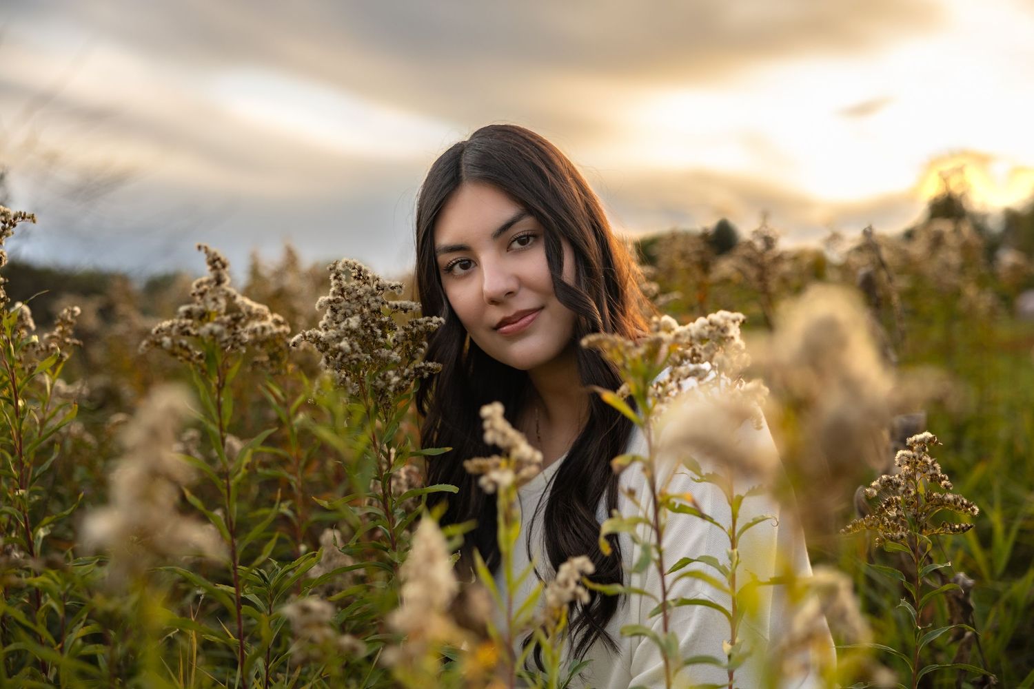 A figure stands among tall wildflowers in a meadow during golden hour sunset with mountains in the background.