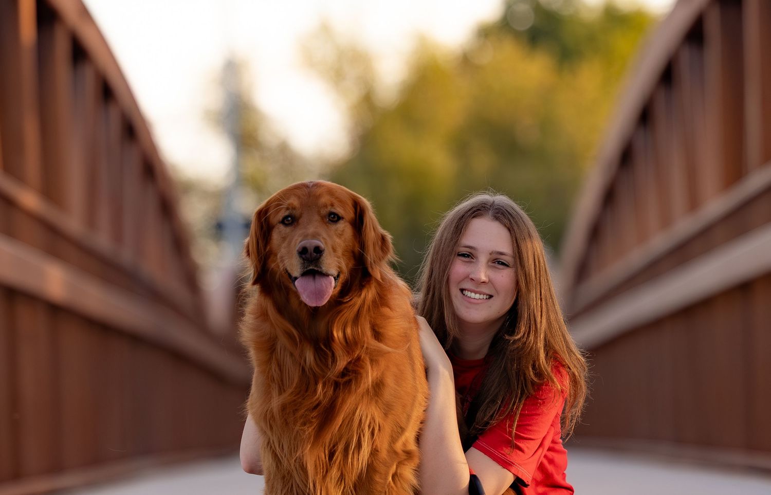A happy Golden Retriever and a person in red sit together on a wooden bridge during golden hour.