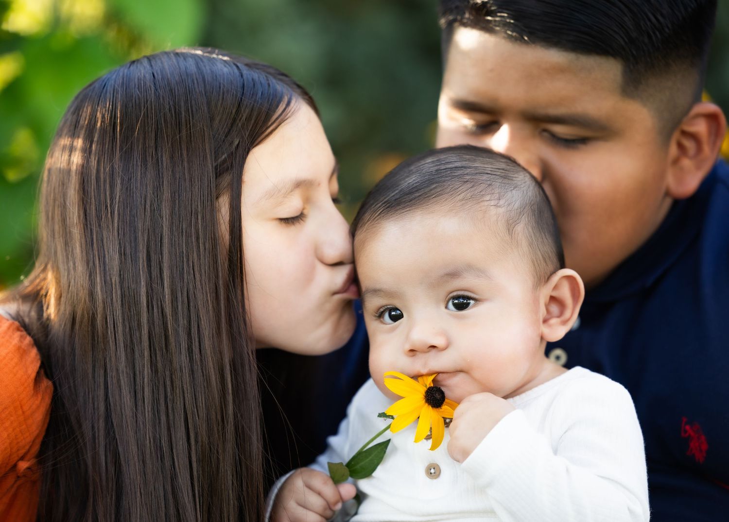 A collection of five tender moments of family affection showing kisses and snuggles with little ones.