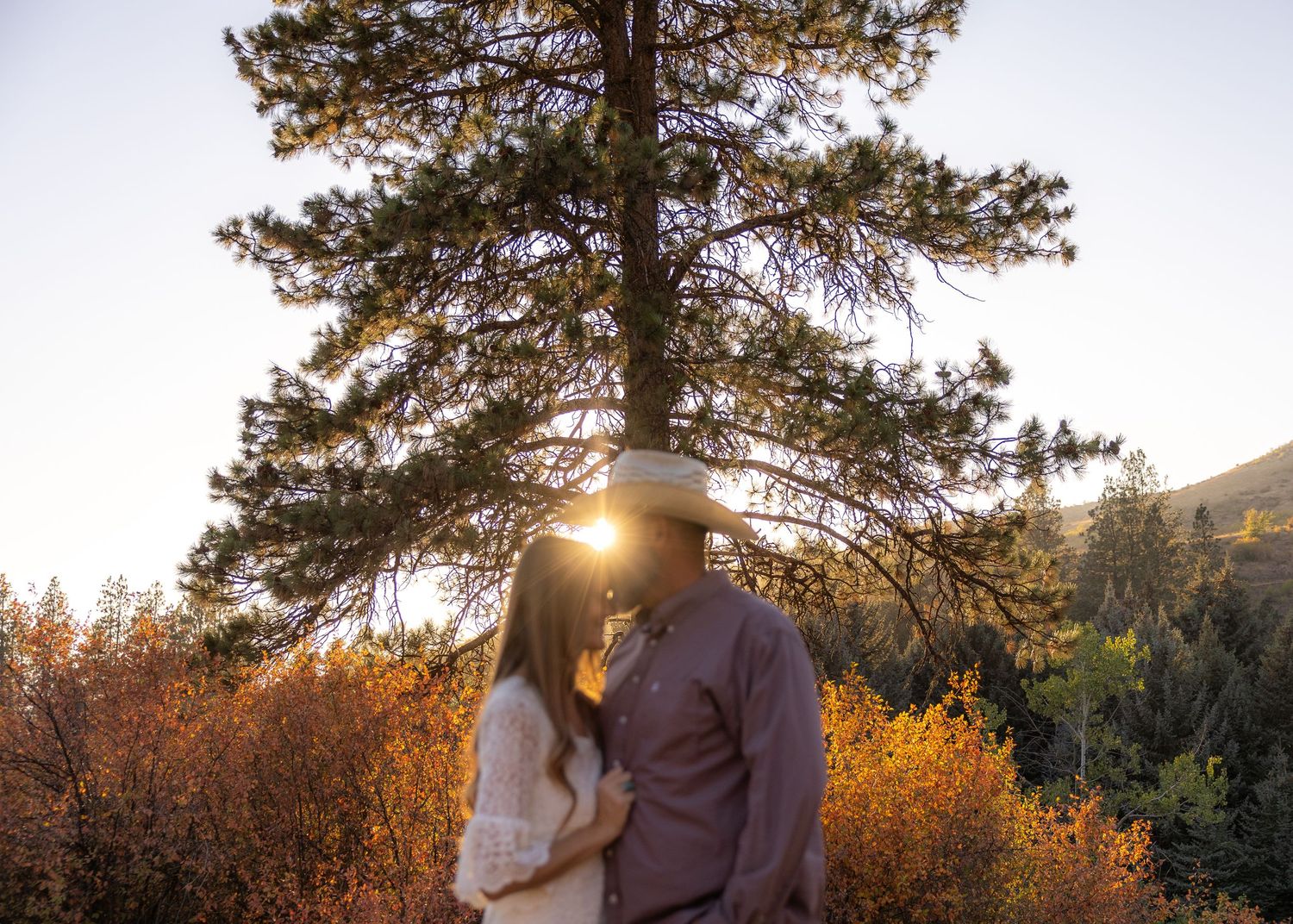 A couple embraces under a tall pine tree at sunset with autumn foliage in the background.