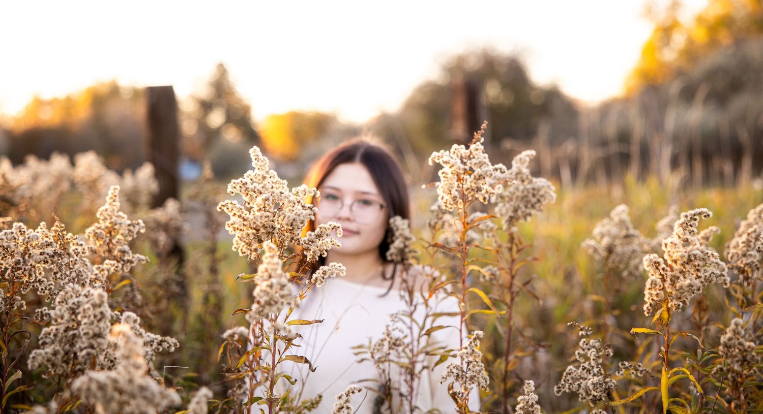 Dreamy autumn scene with tall golden grasses and dried flowers in warm sunset light.