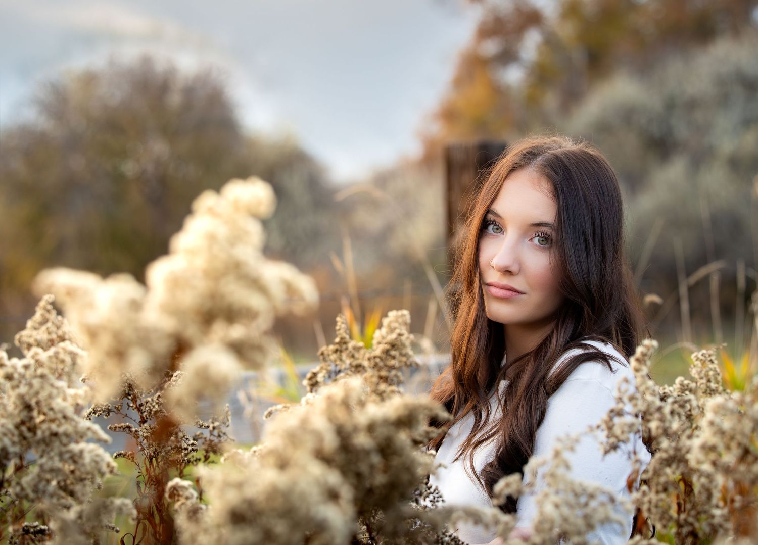 A dreamy autumn portrait series shows a woman with long dark hair posing among golden dried pampas grass flowers.