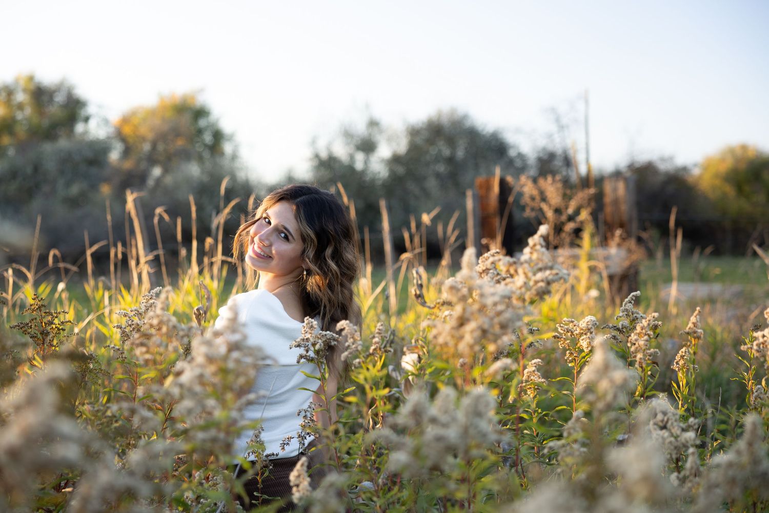 A person stands in a sunlit meadow surrounded by tall golden grasses and wildflowers during golden hour.