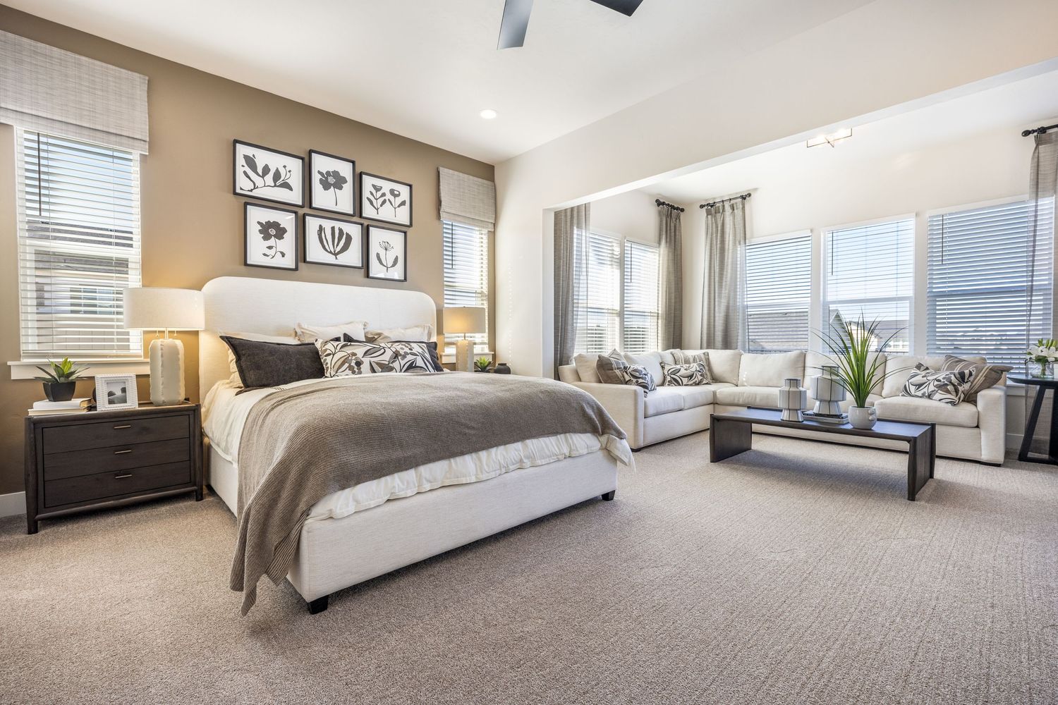 A series of modern bedroom interiors with neutral decor, carpeted floors, and large windows showcasing different layouts.
