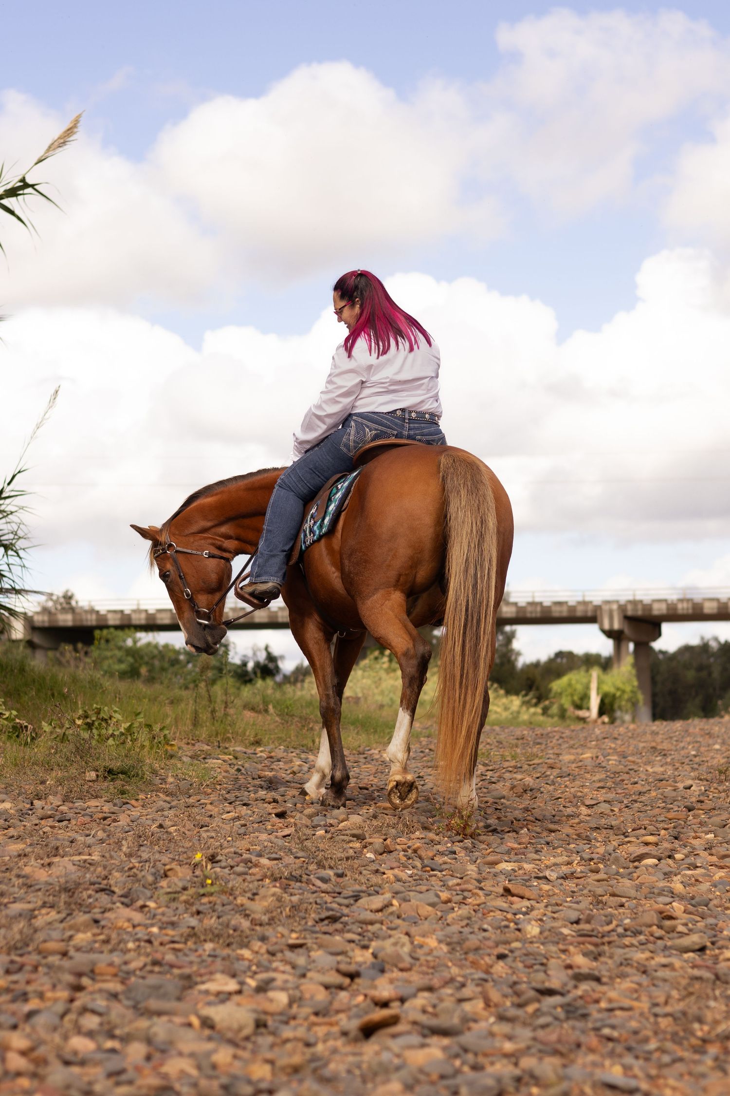 A sequence of photos showing a horse and rider stretching exercises on rocky terrain under cloudy skies.