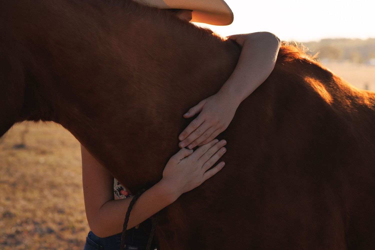 Person hugging a brown horse at golden hour sunset in an open field.