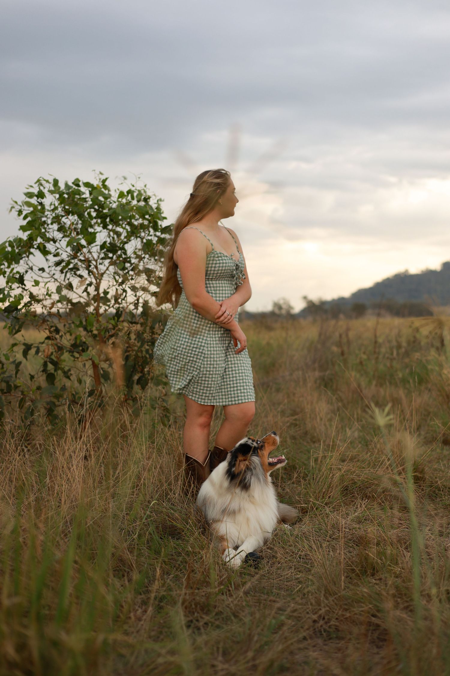 A gingham dress-clad figure stands in a golden field at sunset with their Australian Shepherd companion.