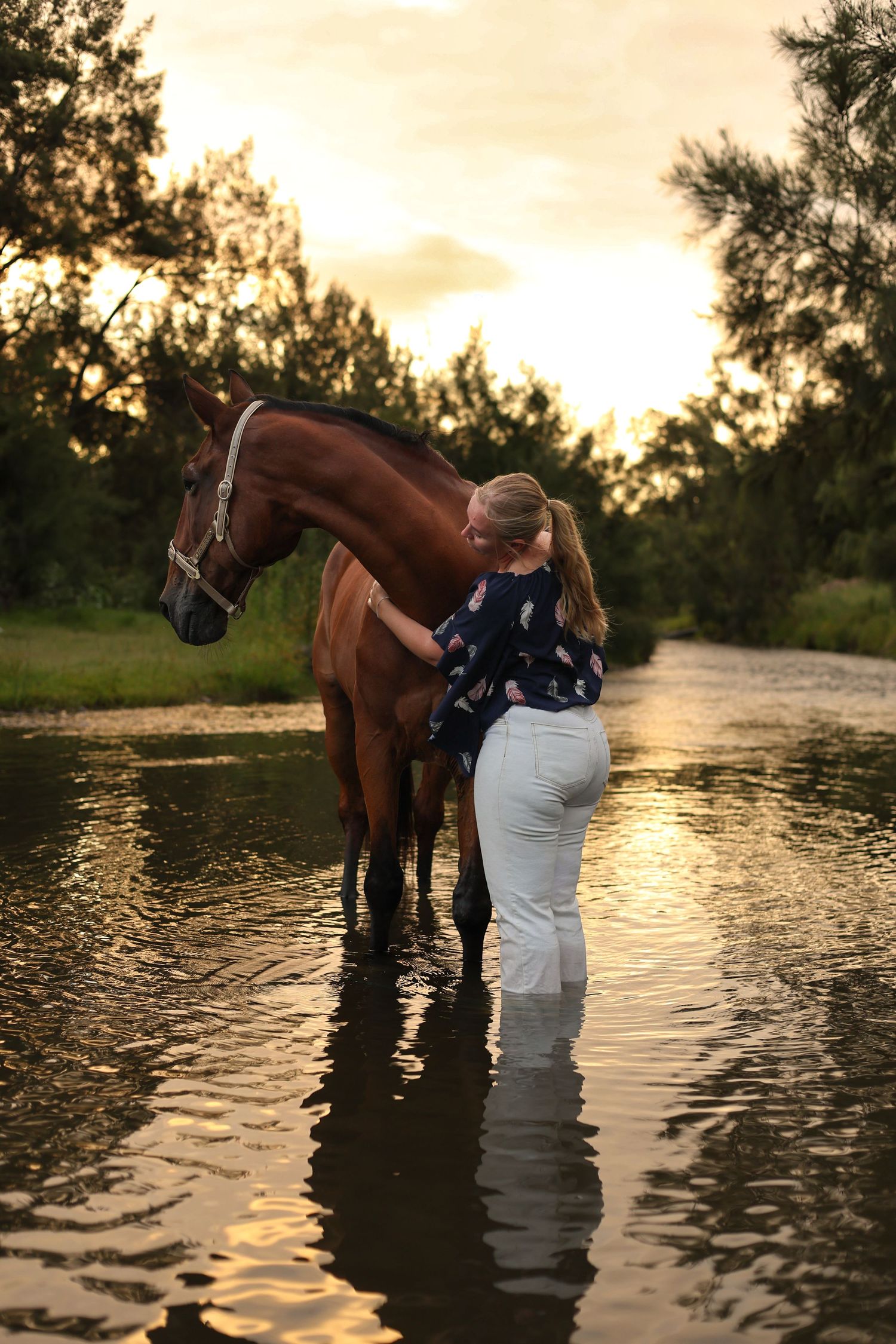 A horse and rider stand in shallow water at sunset creating a serene silhouette against the golden sky.