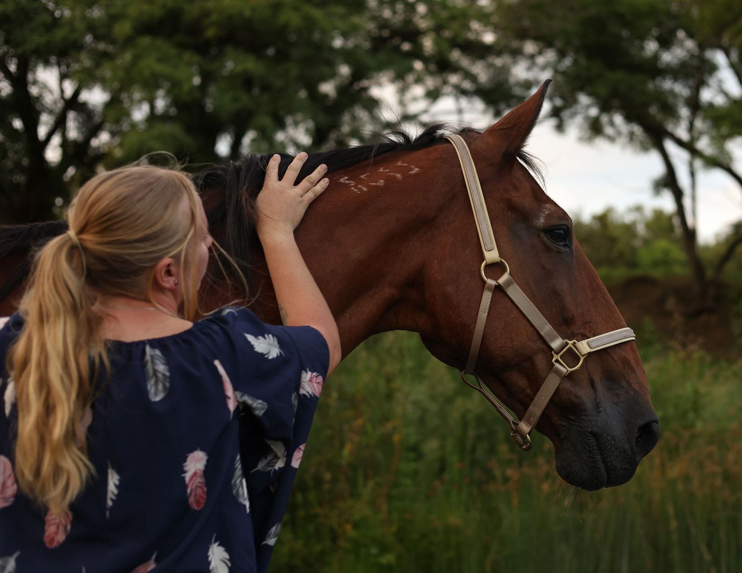 A series of photos showing a person interacting with a brown horse in an outdoor setting at different angles.