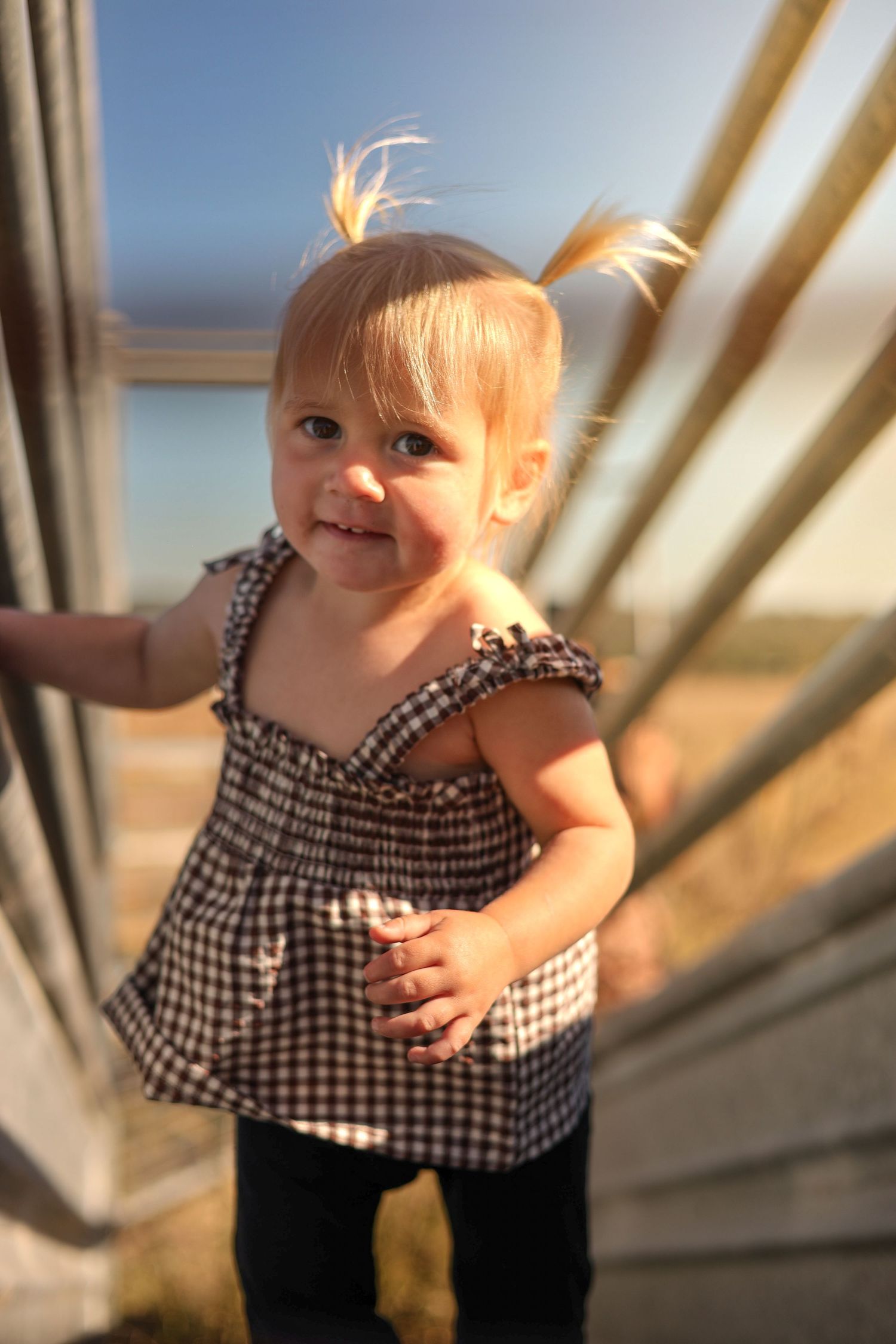 Adorable blonde toddler girl in gingham dress with pigtails smiling outdoors in golden sunlight.