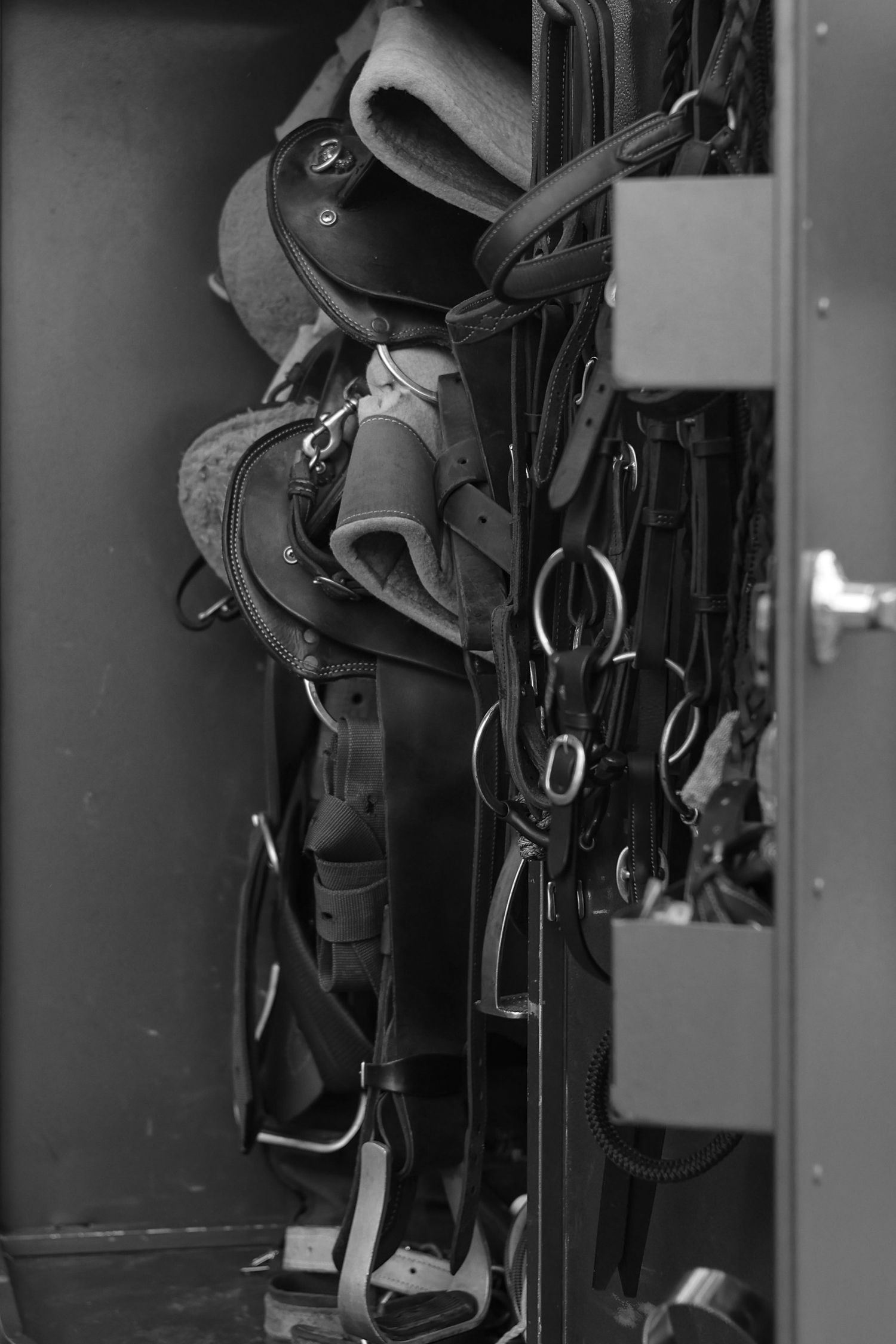 Multiple horse riding saddles and equestrian tack hanging on storage racks in a dark room.