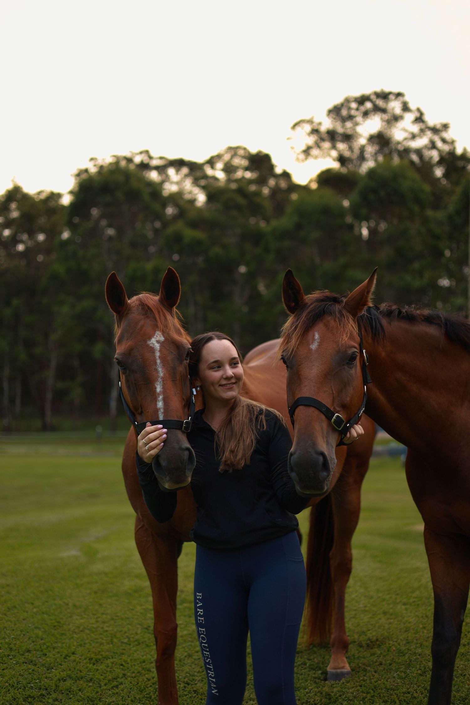 Two beautiful horses with a rider standing between them on a grassy field at sunset with trees in background.