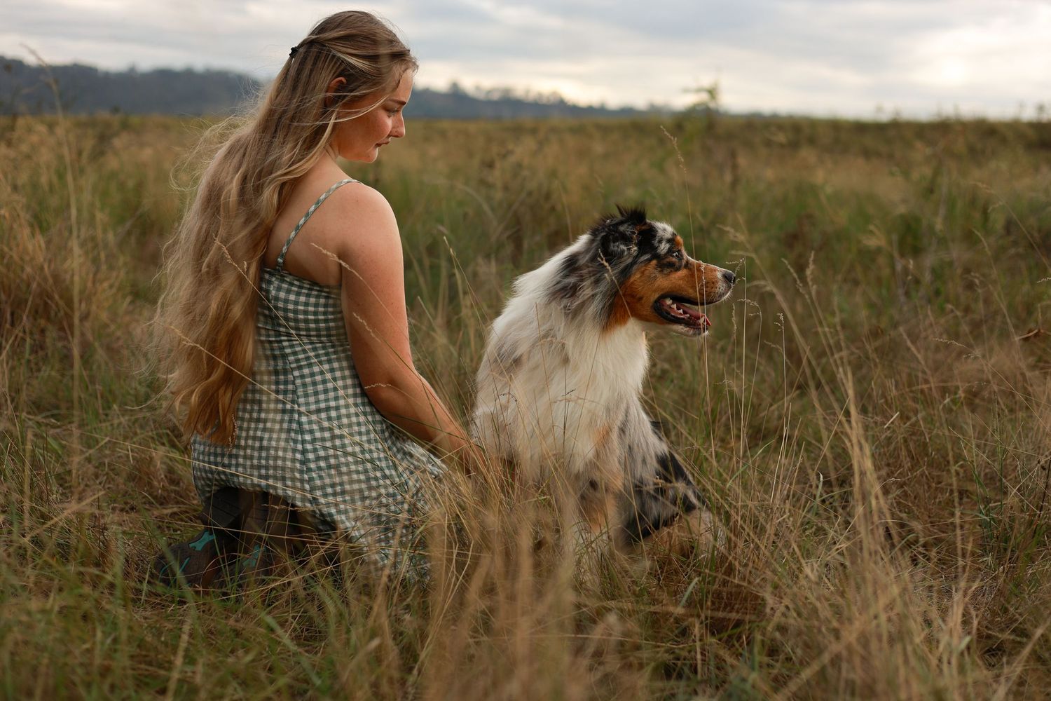Person in a gingham dress walking with a dog through tall grass in a rustic field at sunset.