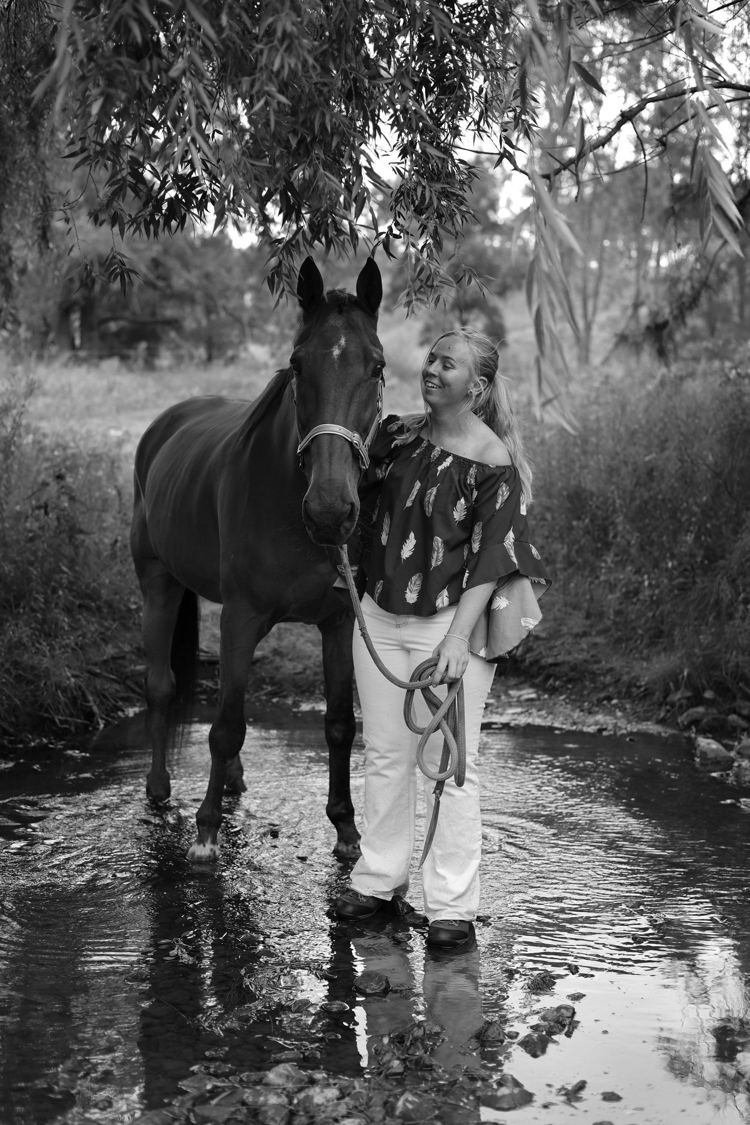 Black and white series shows a horse standing in a shallow stream while being groomed in a wooded setting.