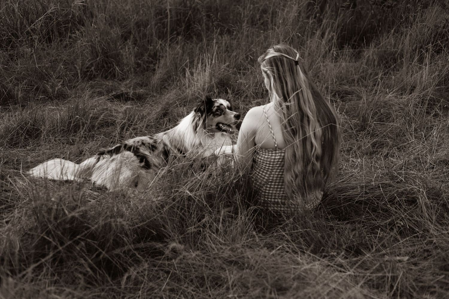 A series of black and white photographs showing a dog playing and rolling in grass and dirt outdoors.