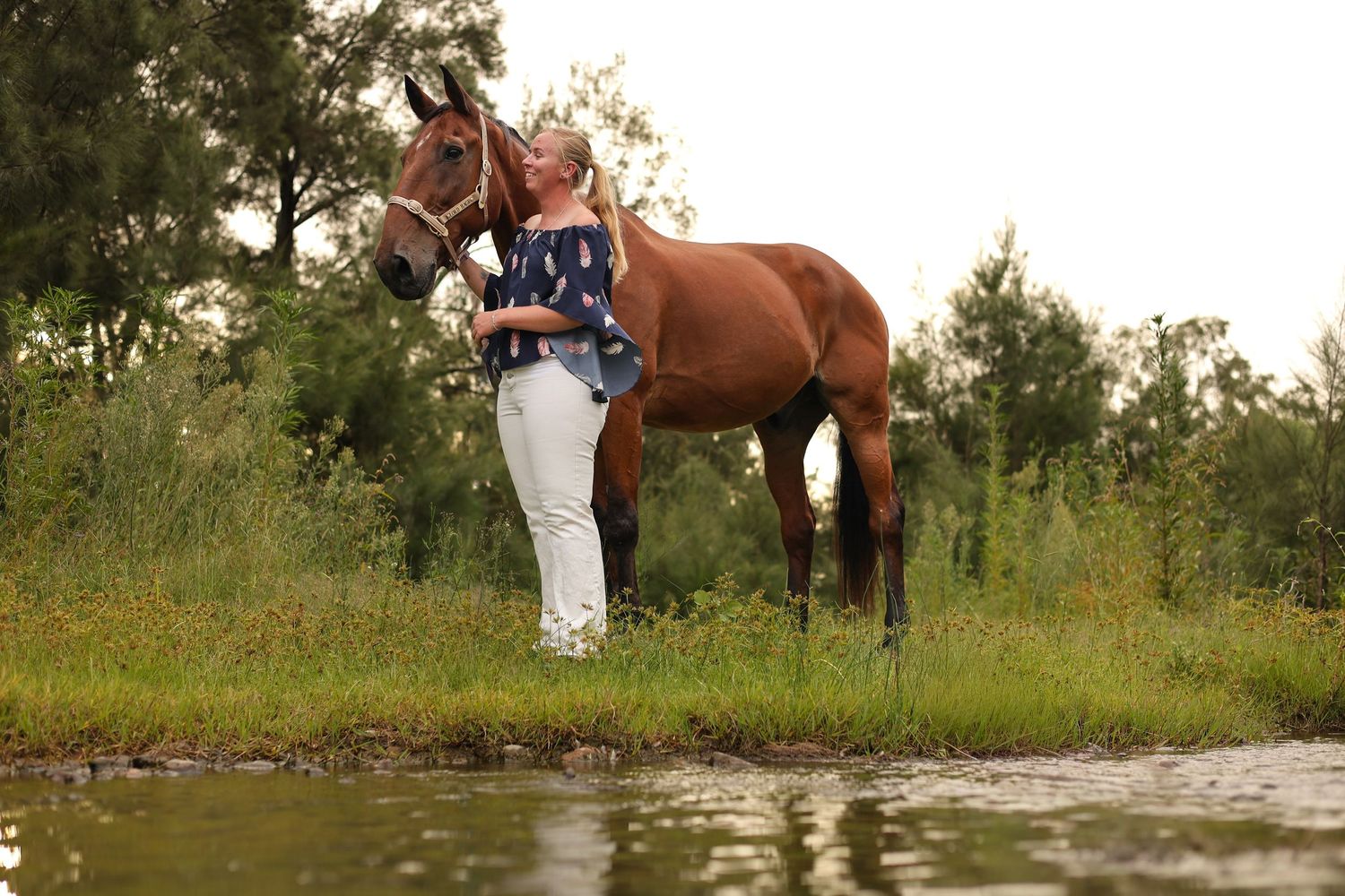 A beautiful bay horse stands beside a stream in a scenic meadow setting with trees in the background.